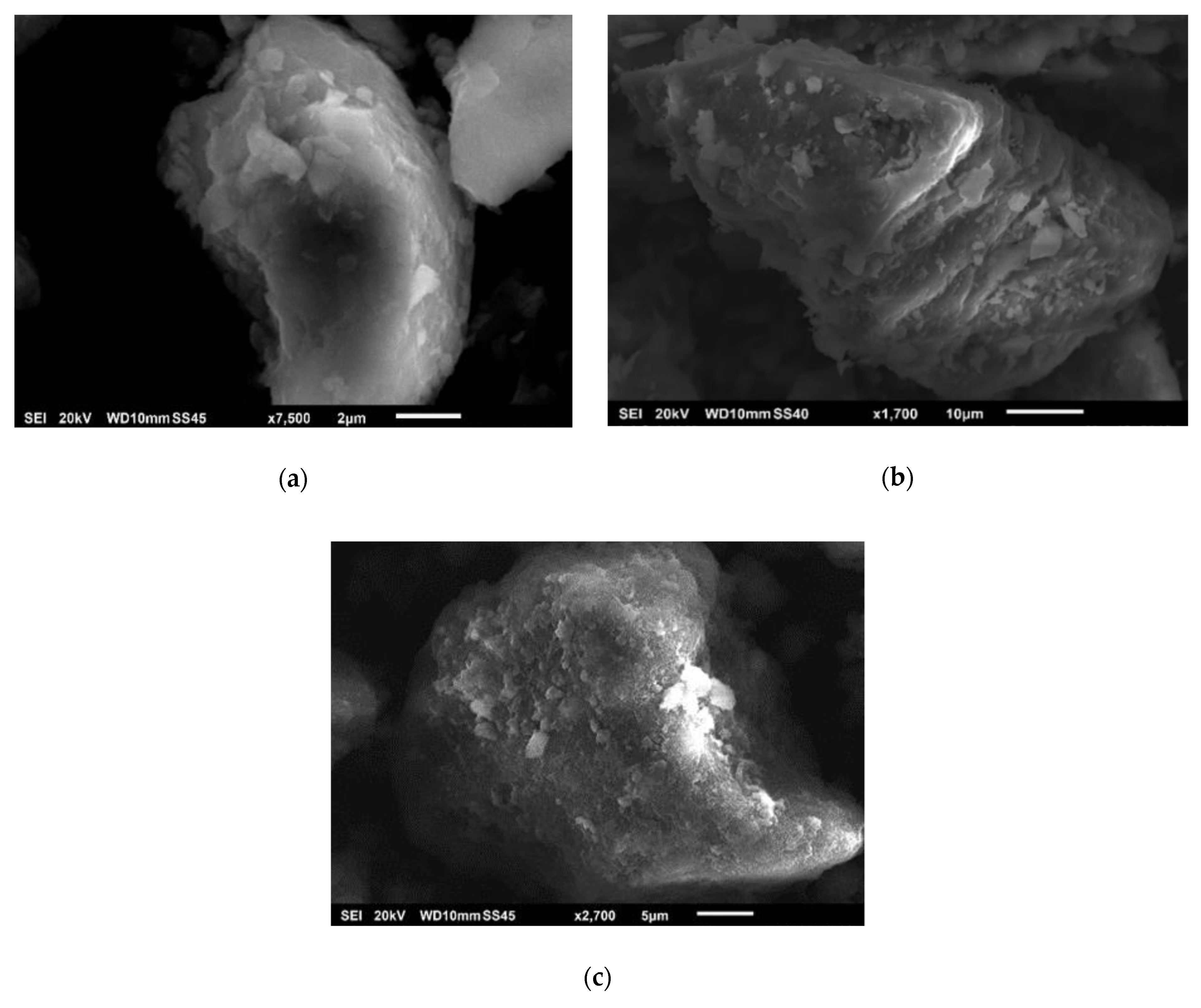 Catalysts 11 00211 g006 Catalysts 11 00211 g006