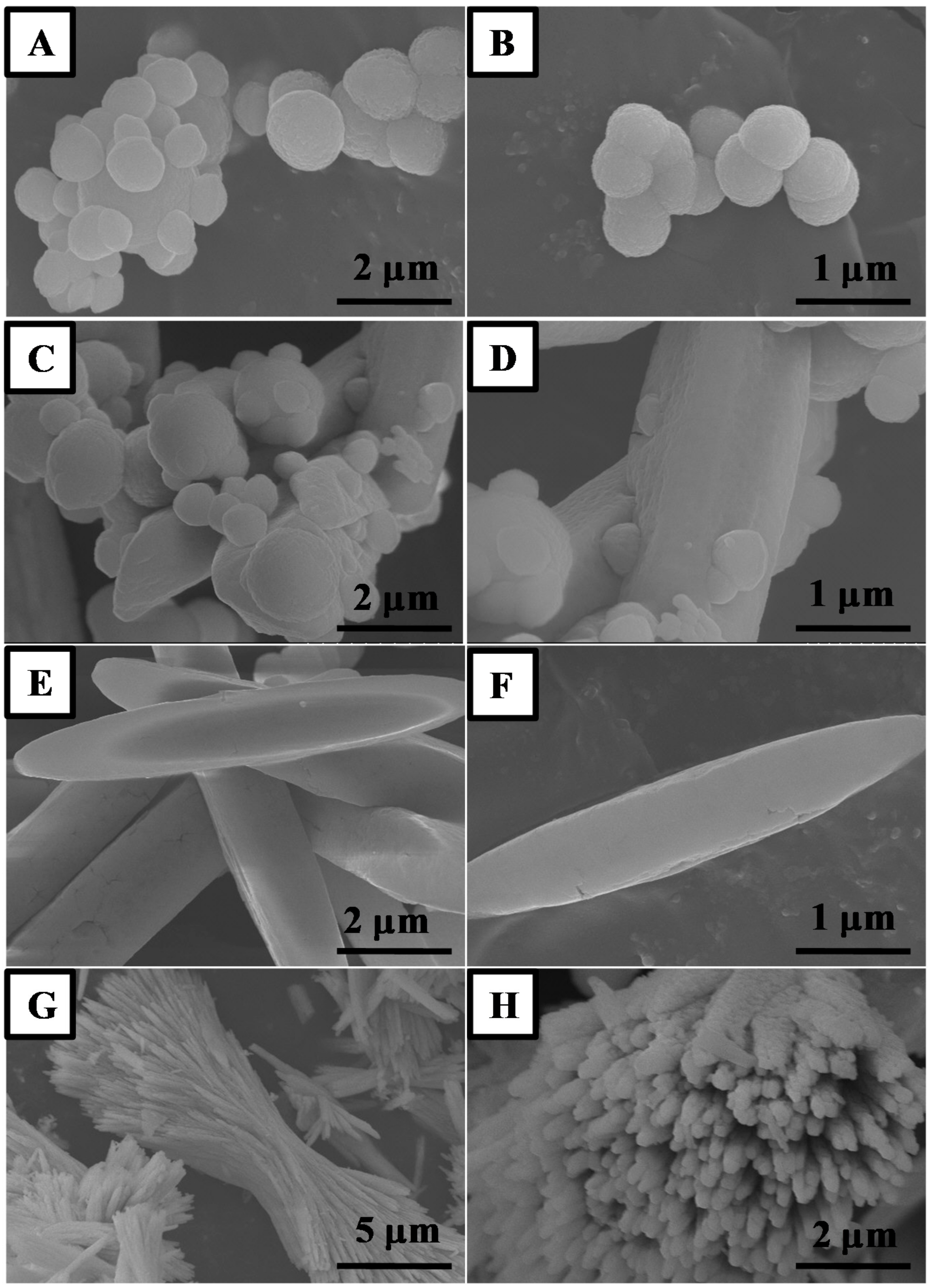 Catalysts 11 00223 g001 Catalysts 11 00223 g001