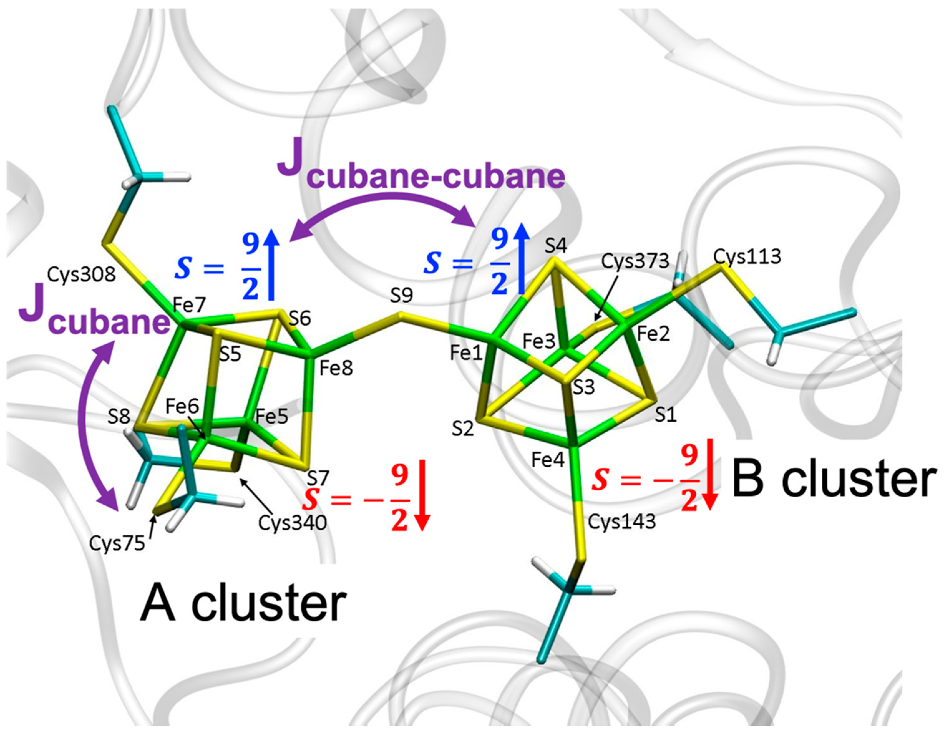 Catalysts 11 00245 g001 Catalysts 11 00245 g001