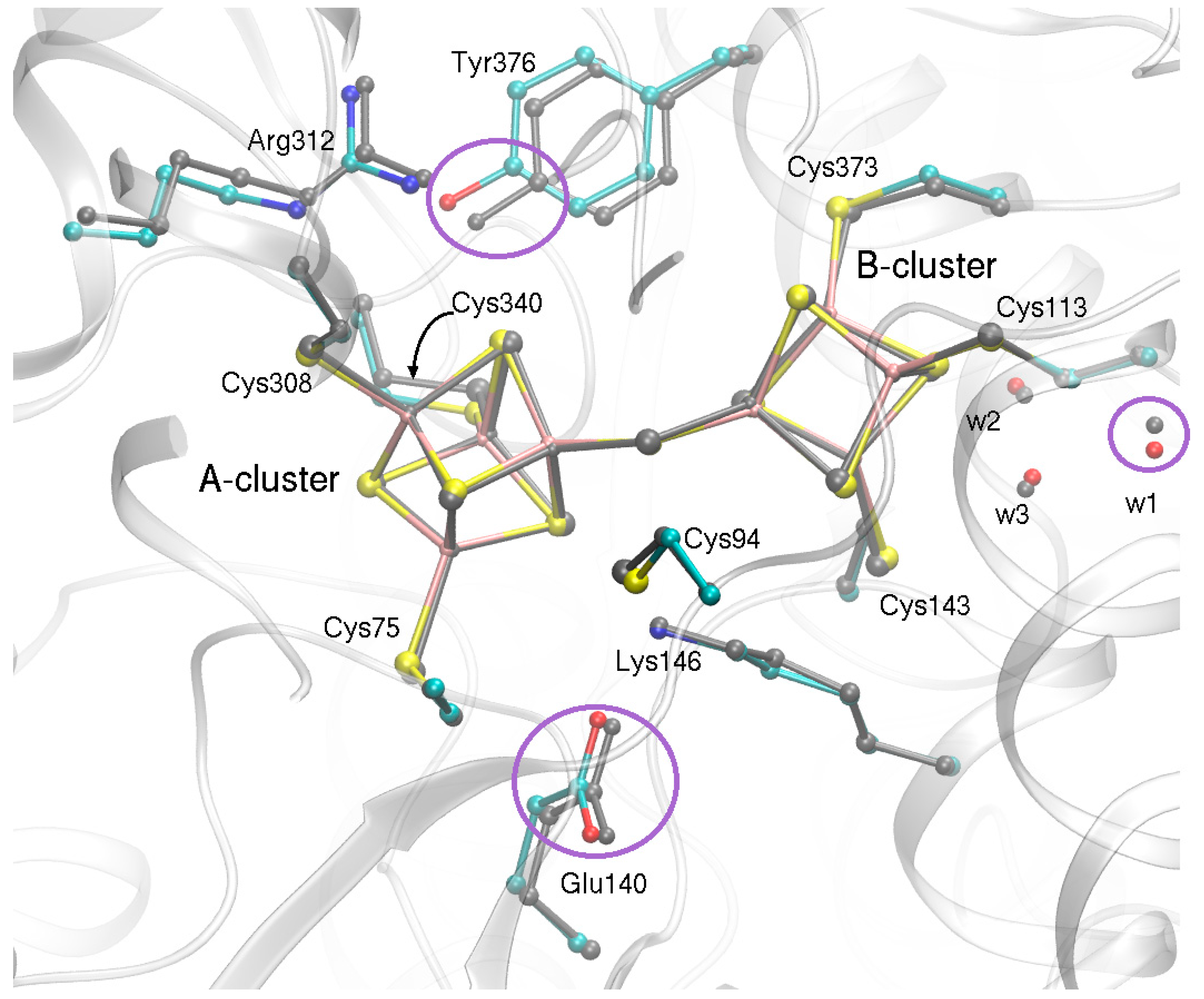 Catalysts 11 00245 g006 Catalysts 11 00245 g006