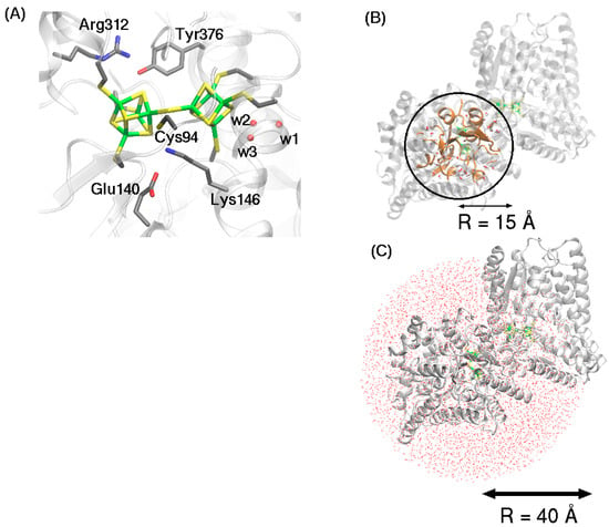 Catalysts Free Full Text Electronic And Structural Properties Of The Double Cubane Iron Sulfur Cluster Html