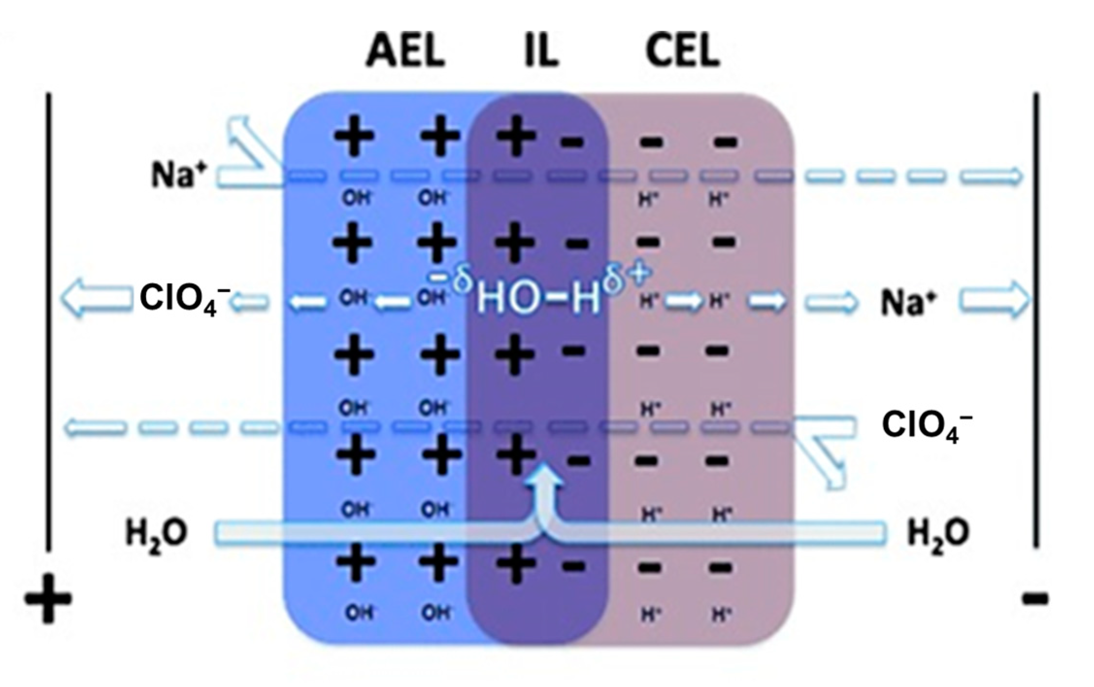 Catalysts 11 00253 g002