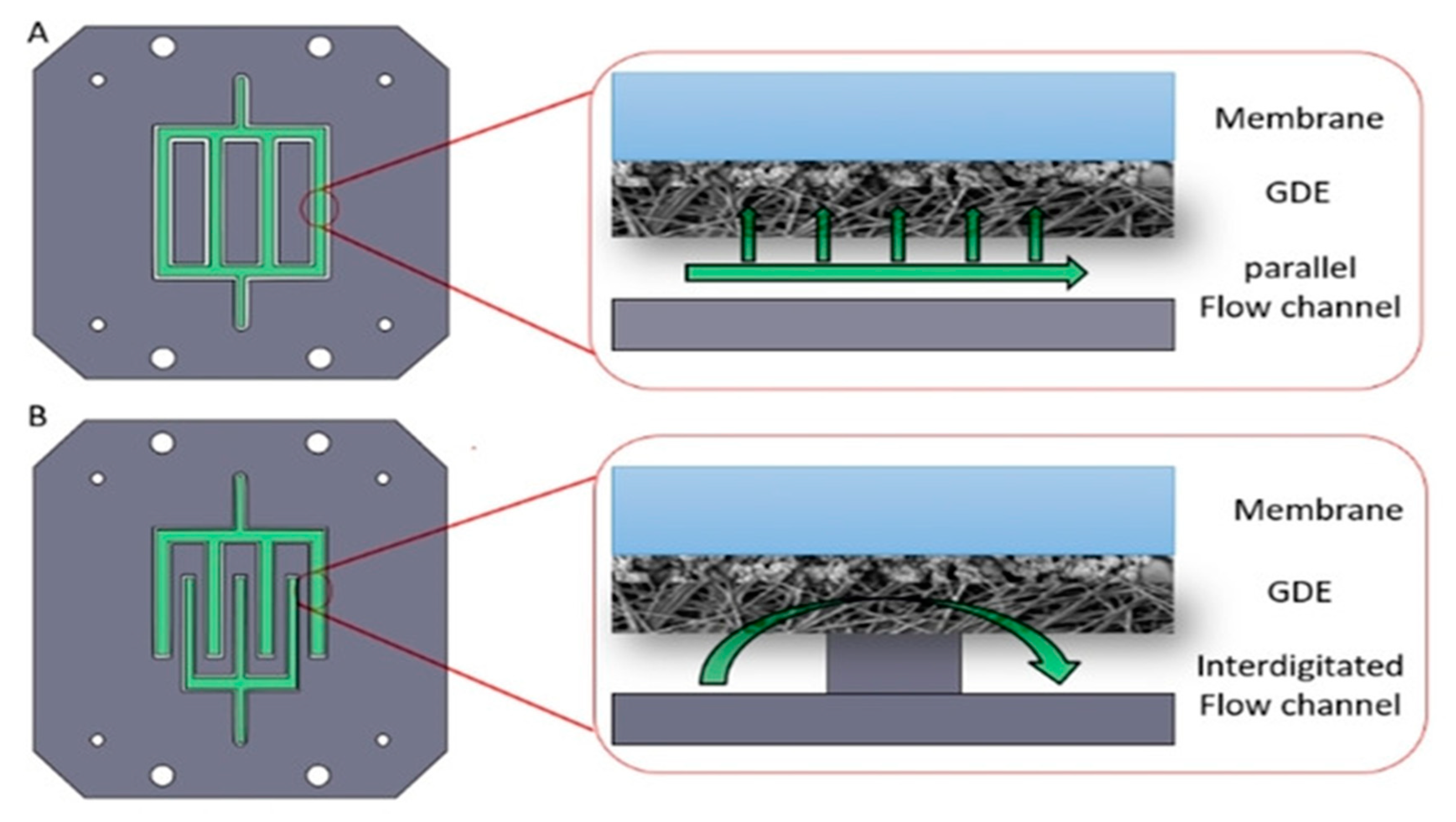 Catalysts 11 00253 g004