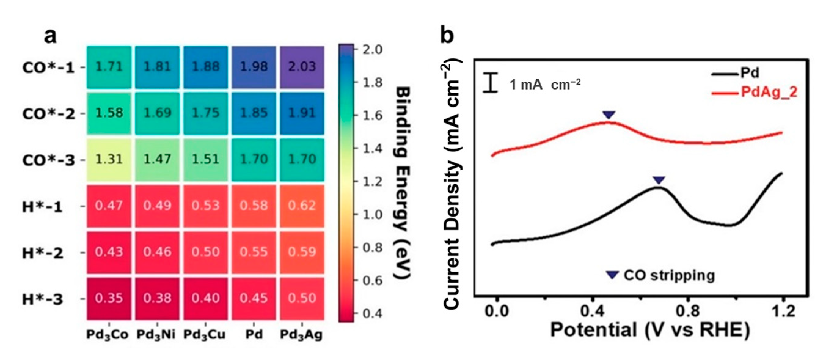 Catalysts 11 00253 g013