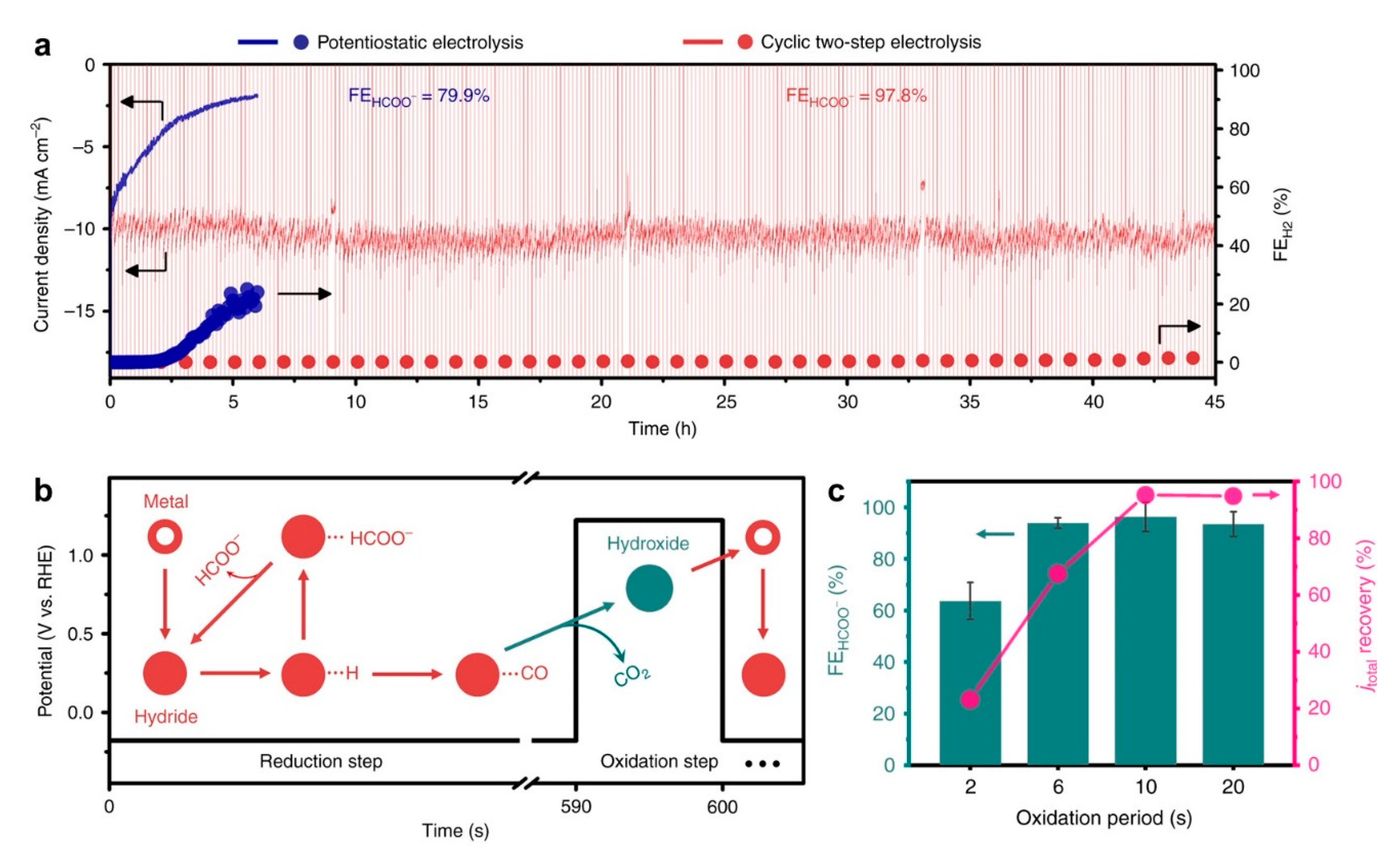 Catalysts 11 00253 g016