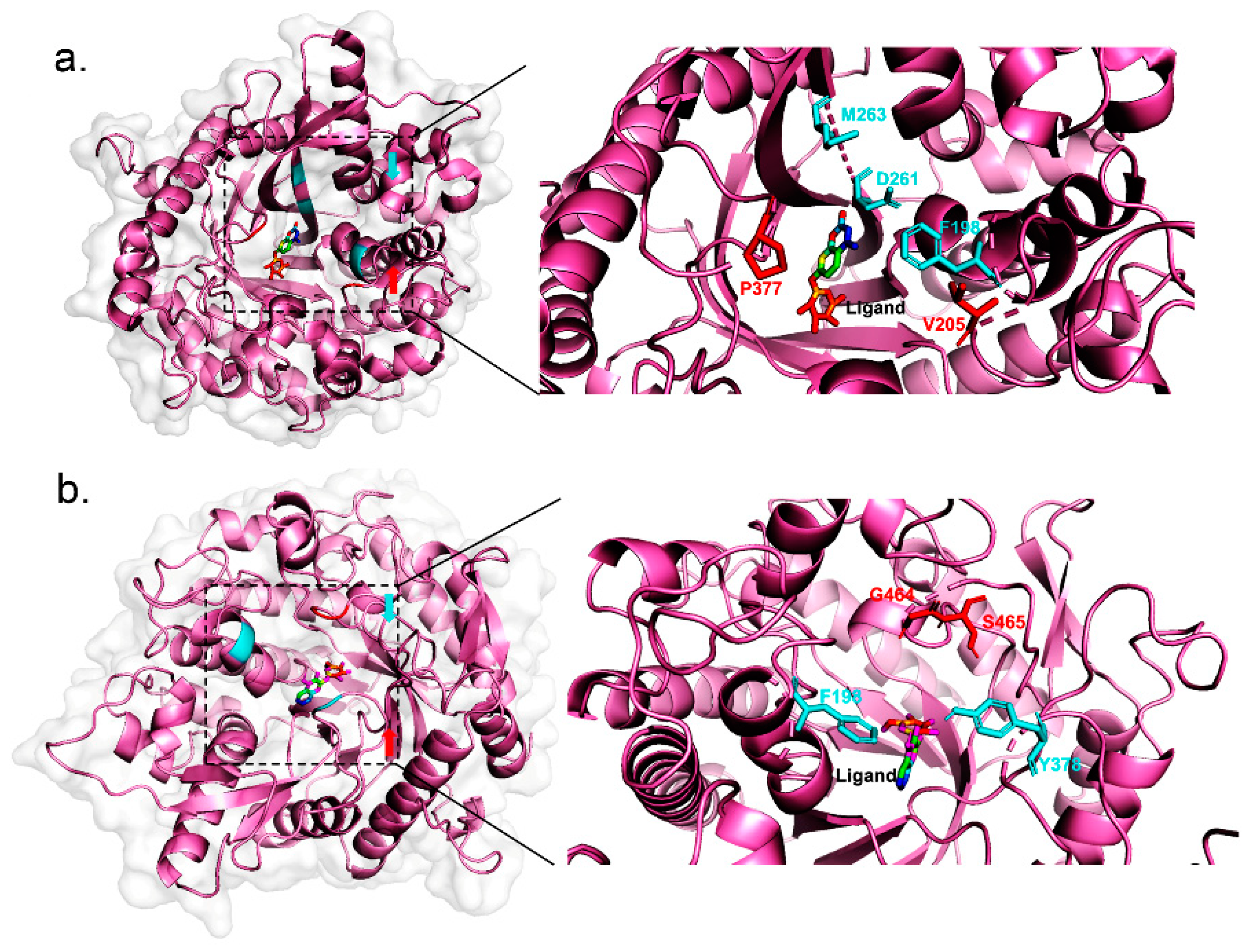 Catalysts 11 00286 g003