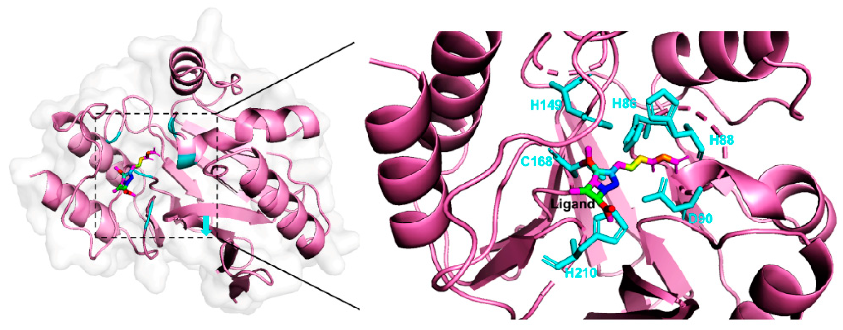 Catalysts 11 00286 g005