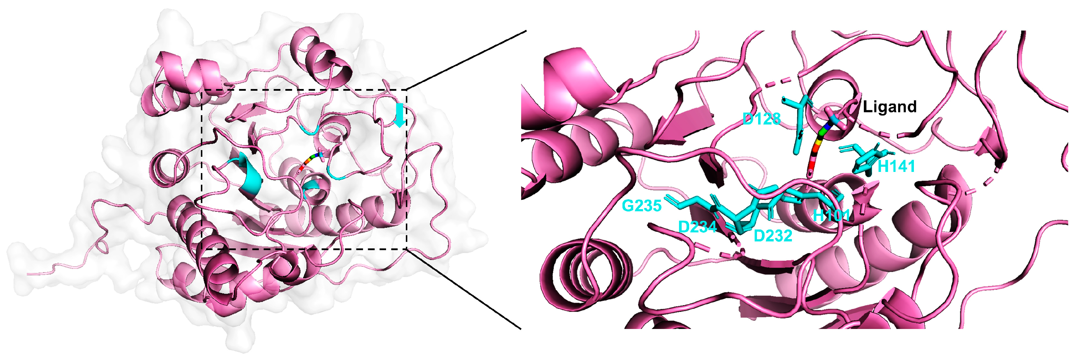 pymol tutorial reactions