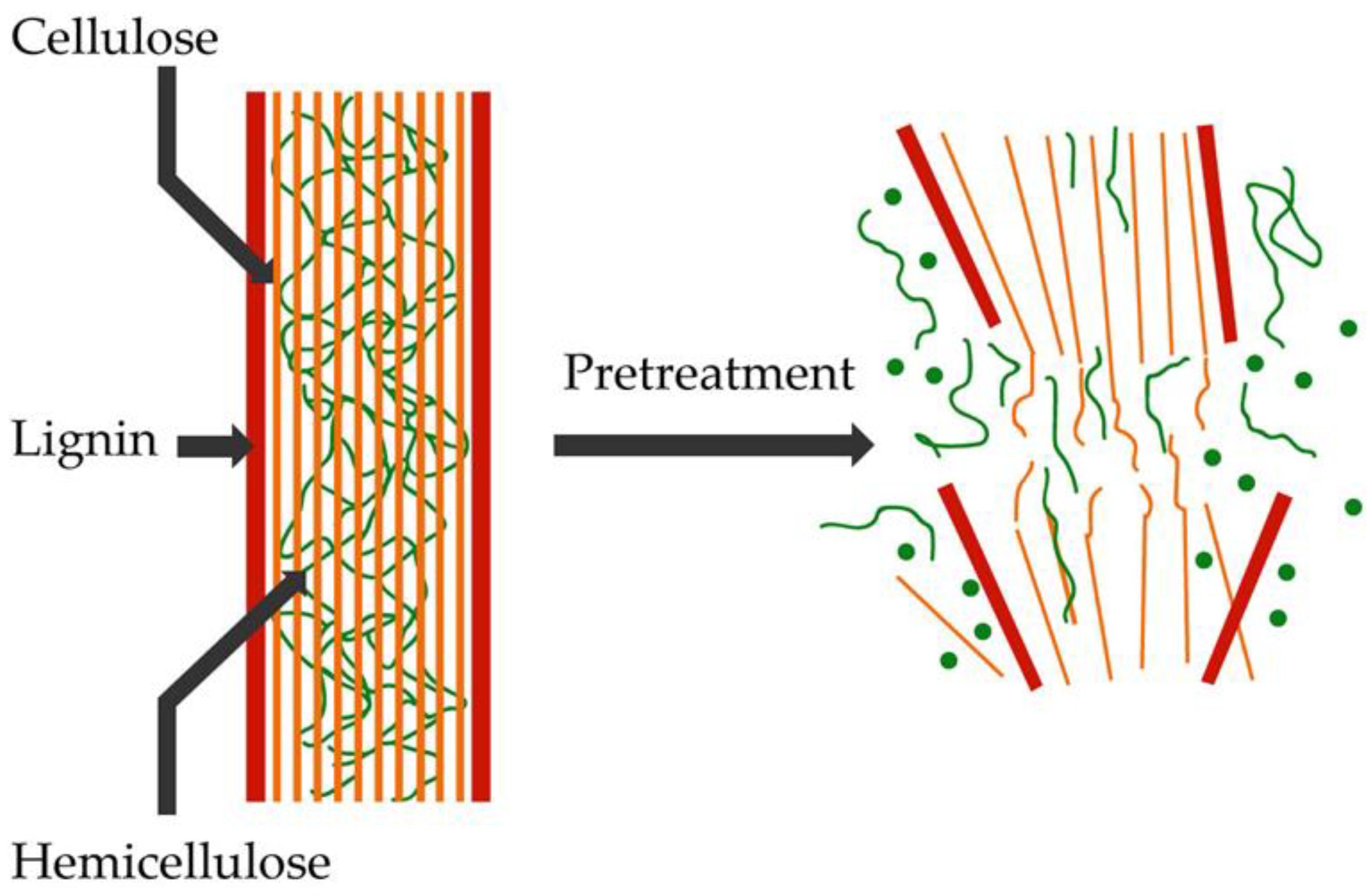 Catalysts Free Full Text Advances In Valorization Of Lignocellulosic Biomass Towards Energy Generation Html