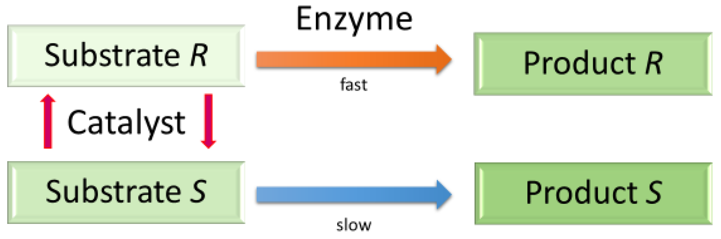 Catalysts 11 00316 g001 Catalysts 11 00316 g001