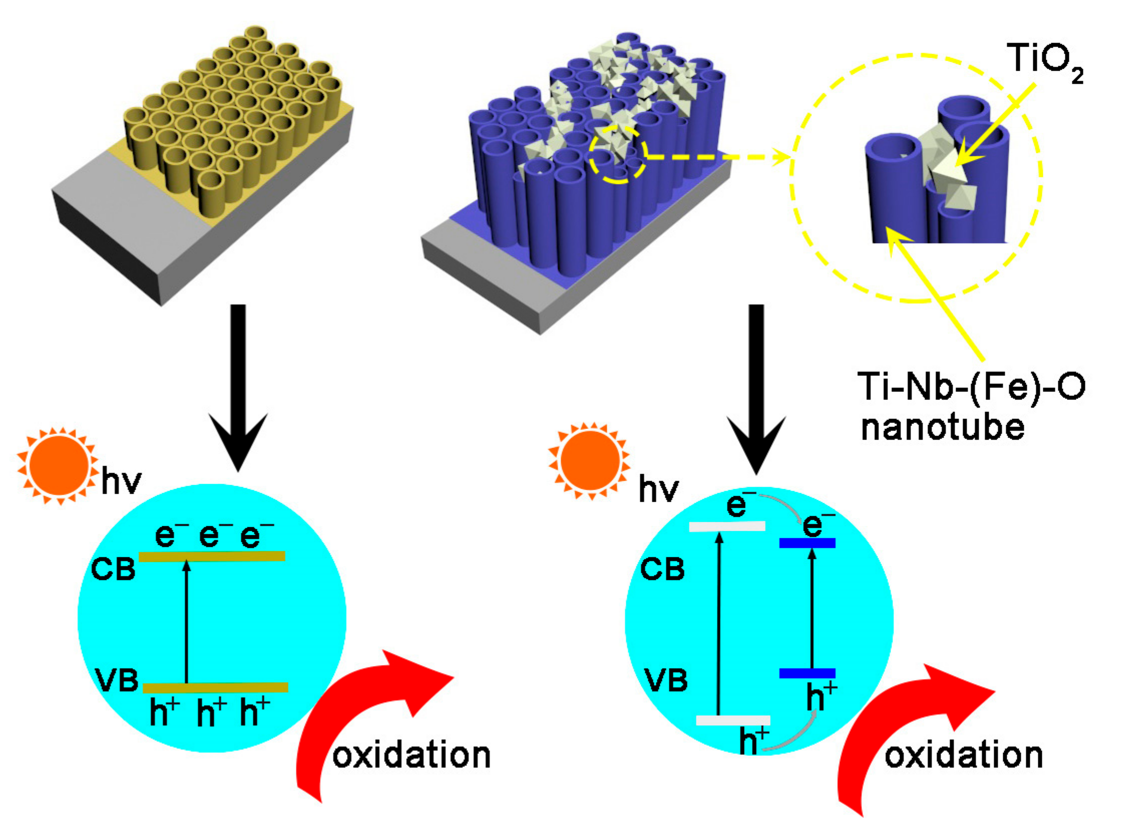 Catalysts Free Full Text Preparation Of Ti Nb Fe O Nanotubes On Ti10nbxfe Alloy And The Application For Photocatalytic Degradation Under Solar Irradiation Html