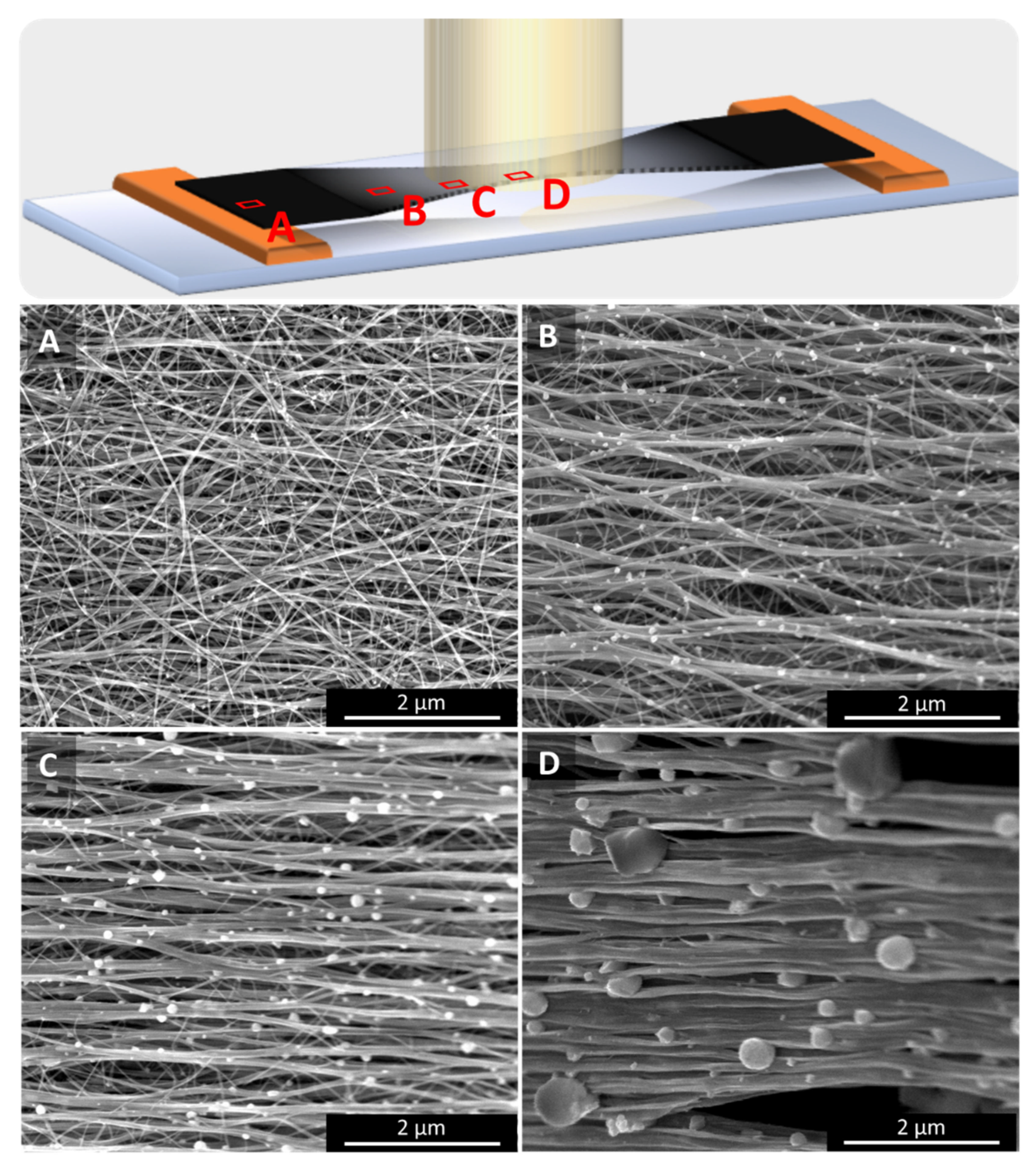 Catalysts 11 00368 g008 Catalysts 11 00368 g008