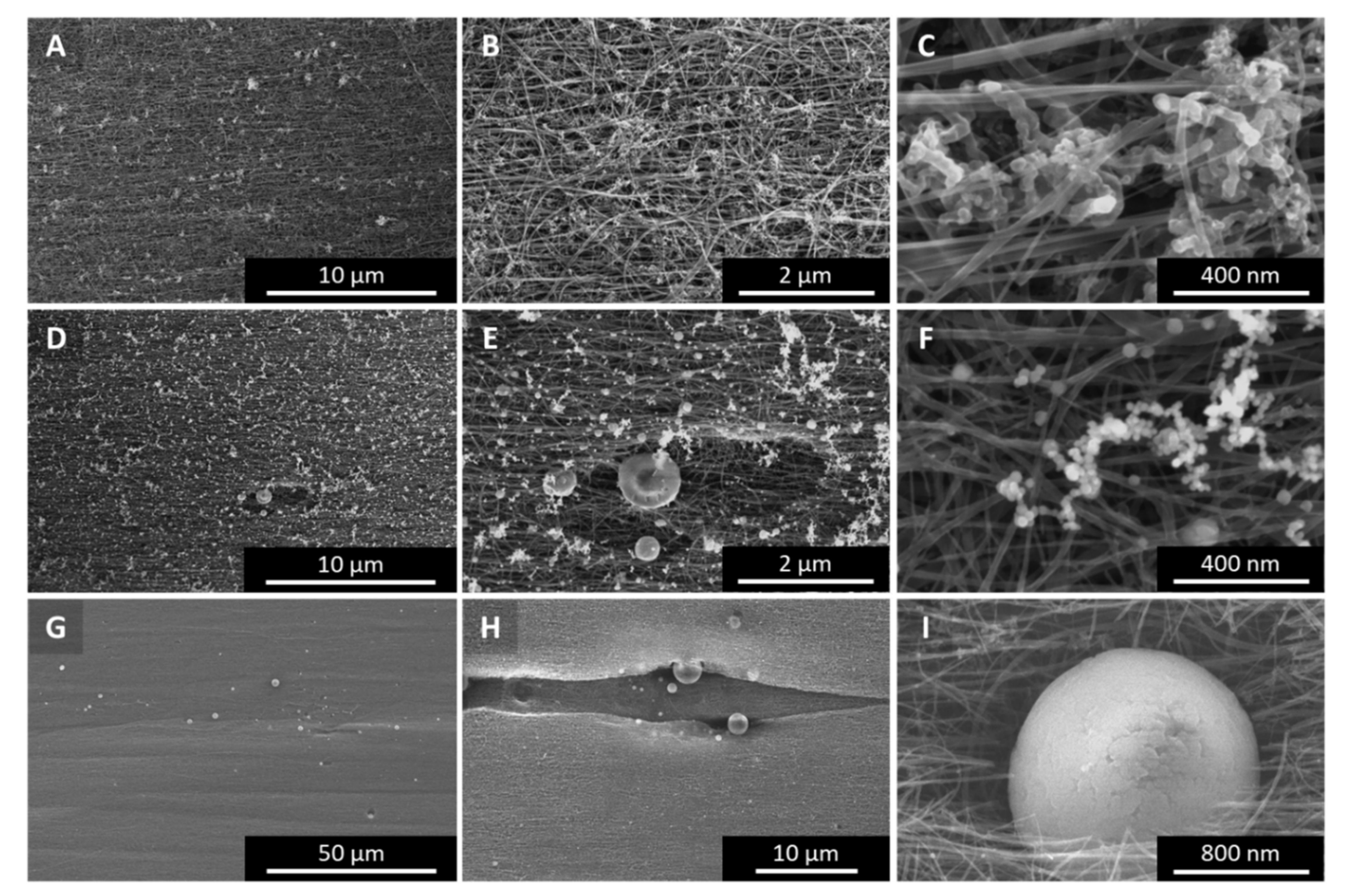 Catalysts 11 00368 g0a10 Catalysts 11 00368 g0a10