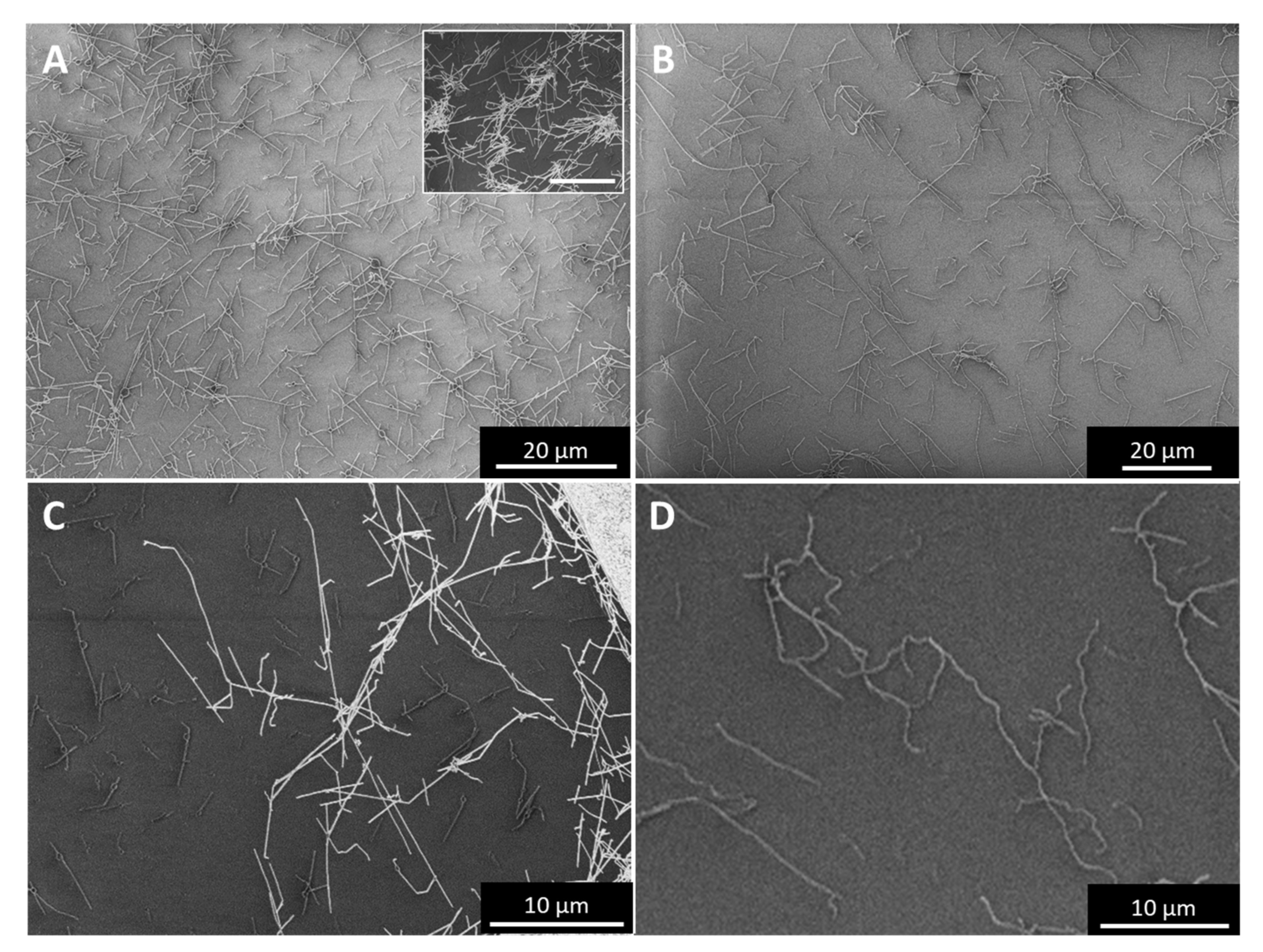 Catalysts 11 00368 g0a5 Catalysts 11 00368 g0a5