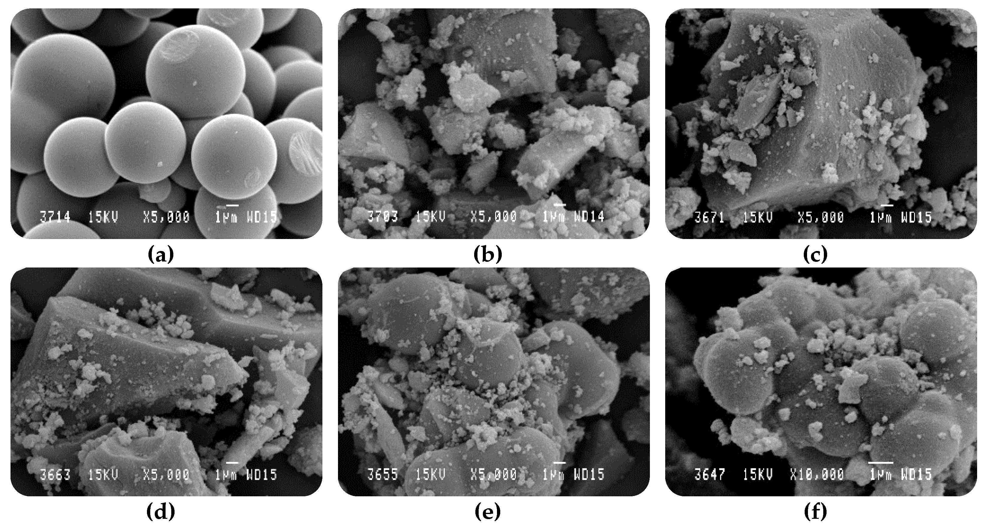 Catalysts 11 00457 g003