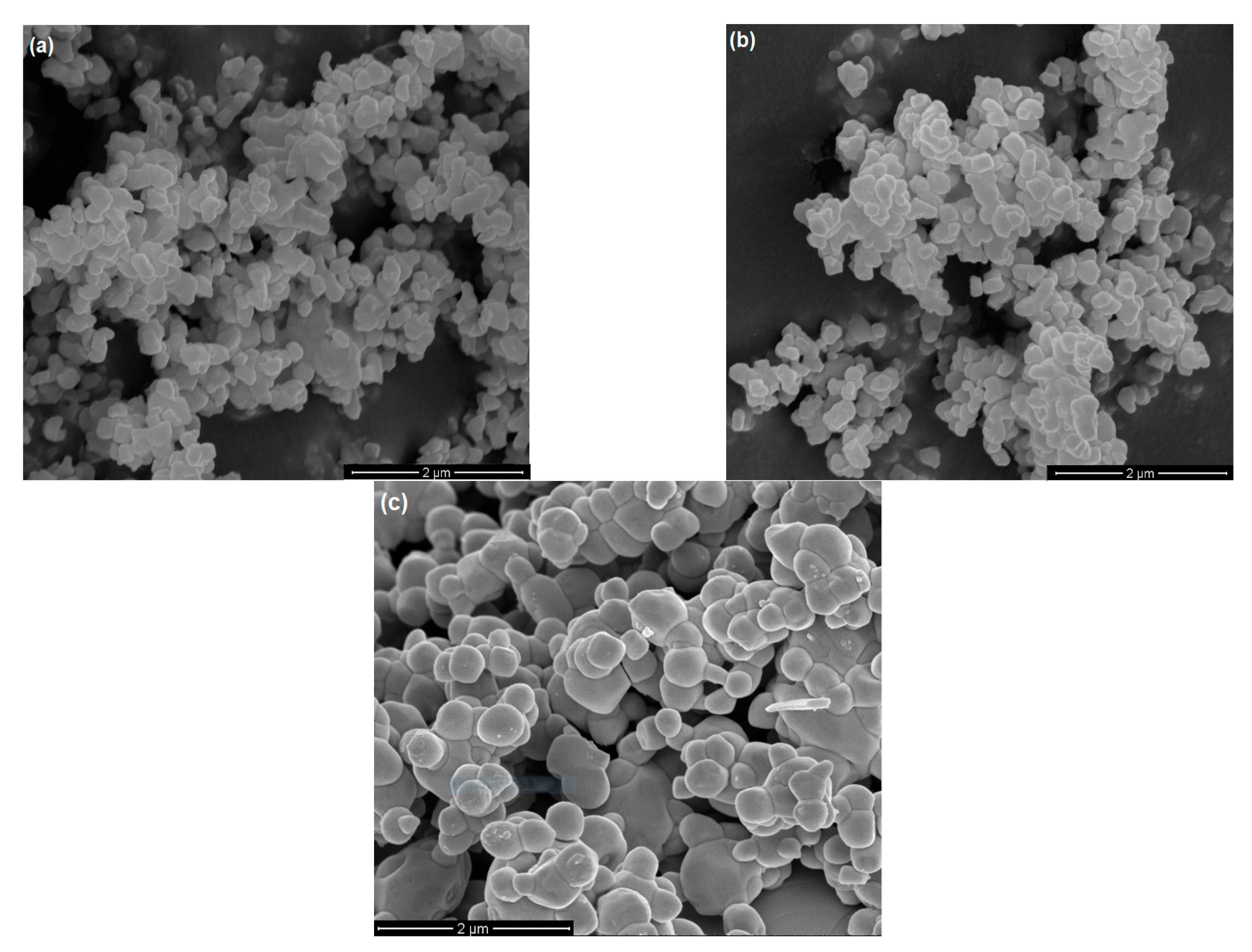 Catalysts 11 00458 g005 Catalysts 11 00458 g005