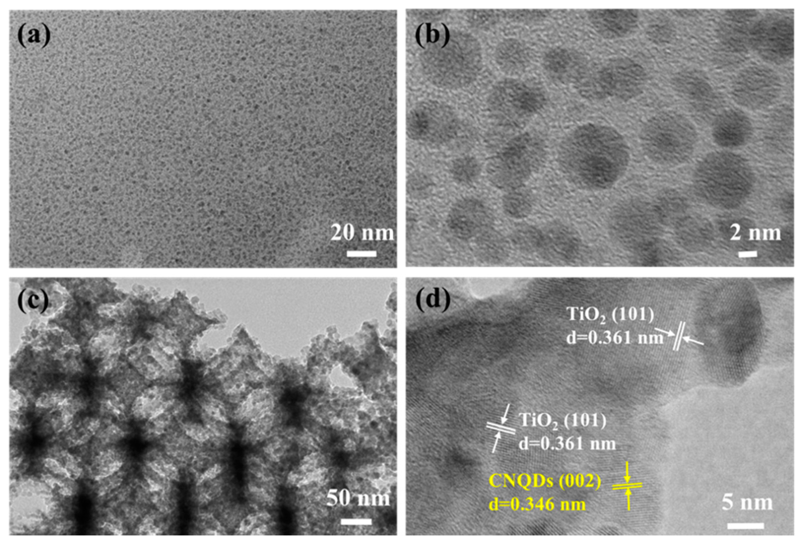 Catalysts Free Full Text Carbon Nitride Quantum Dots Modified Tio2 Inverse Opal Photonic Crystal For Solving Indoor Vocs Pollution Html