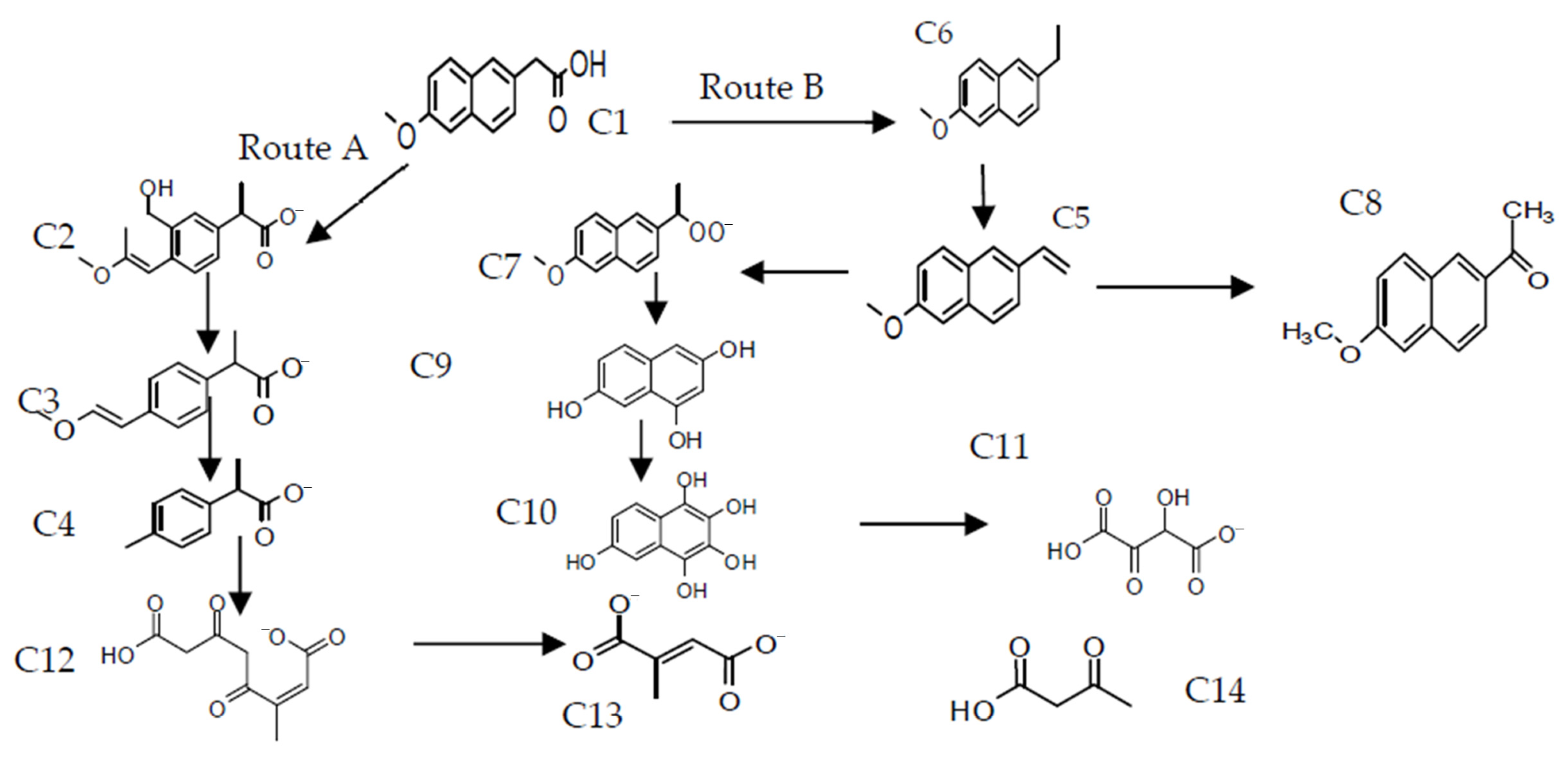 Catalysts 11 00514 g008 Catalysts 11 00514 g008