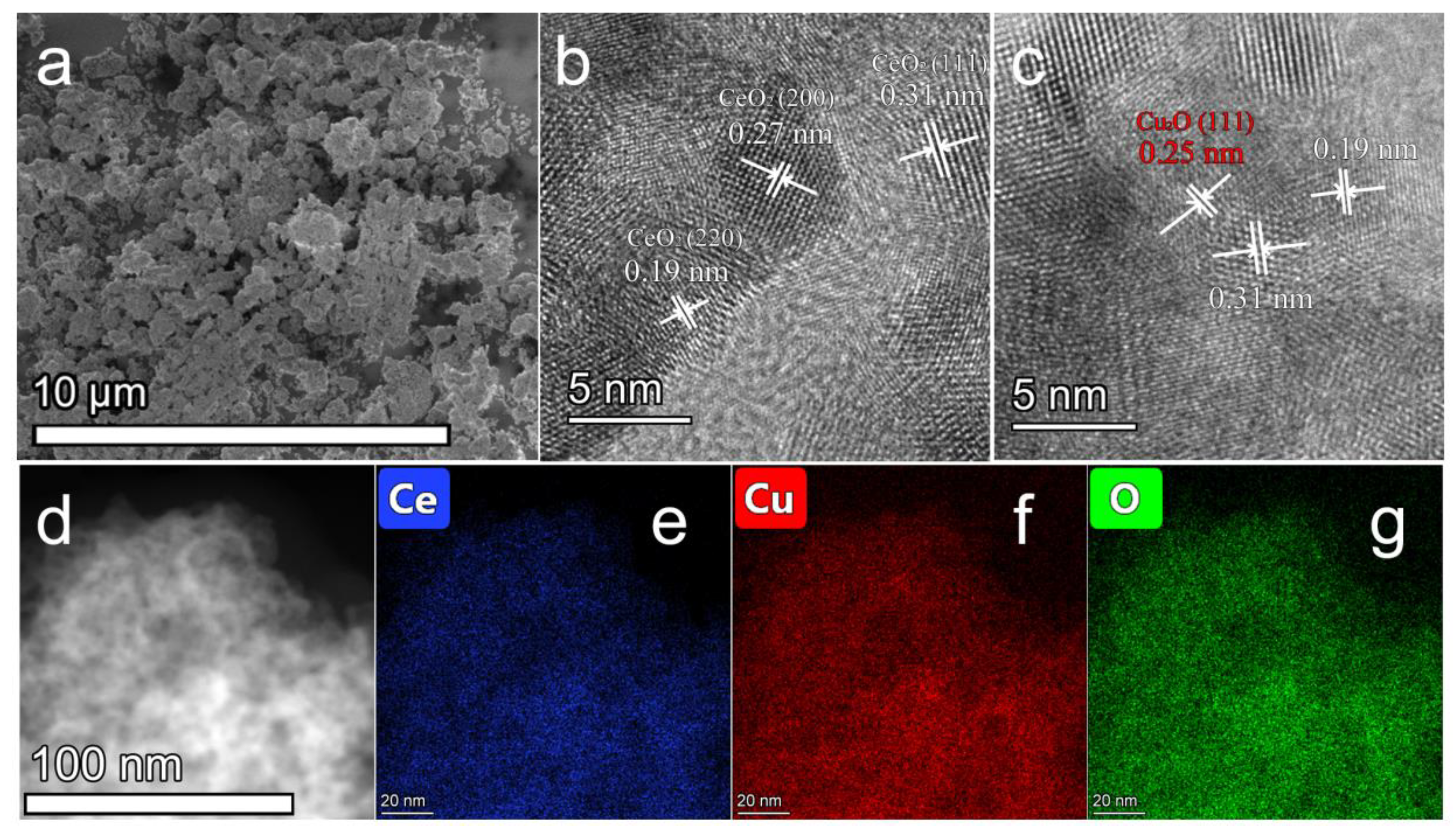 Catalysts 11 00519 g003