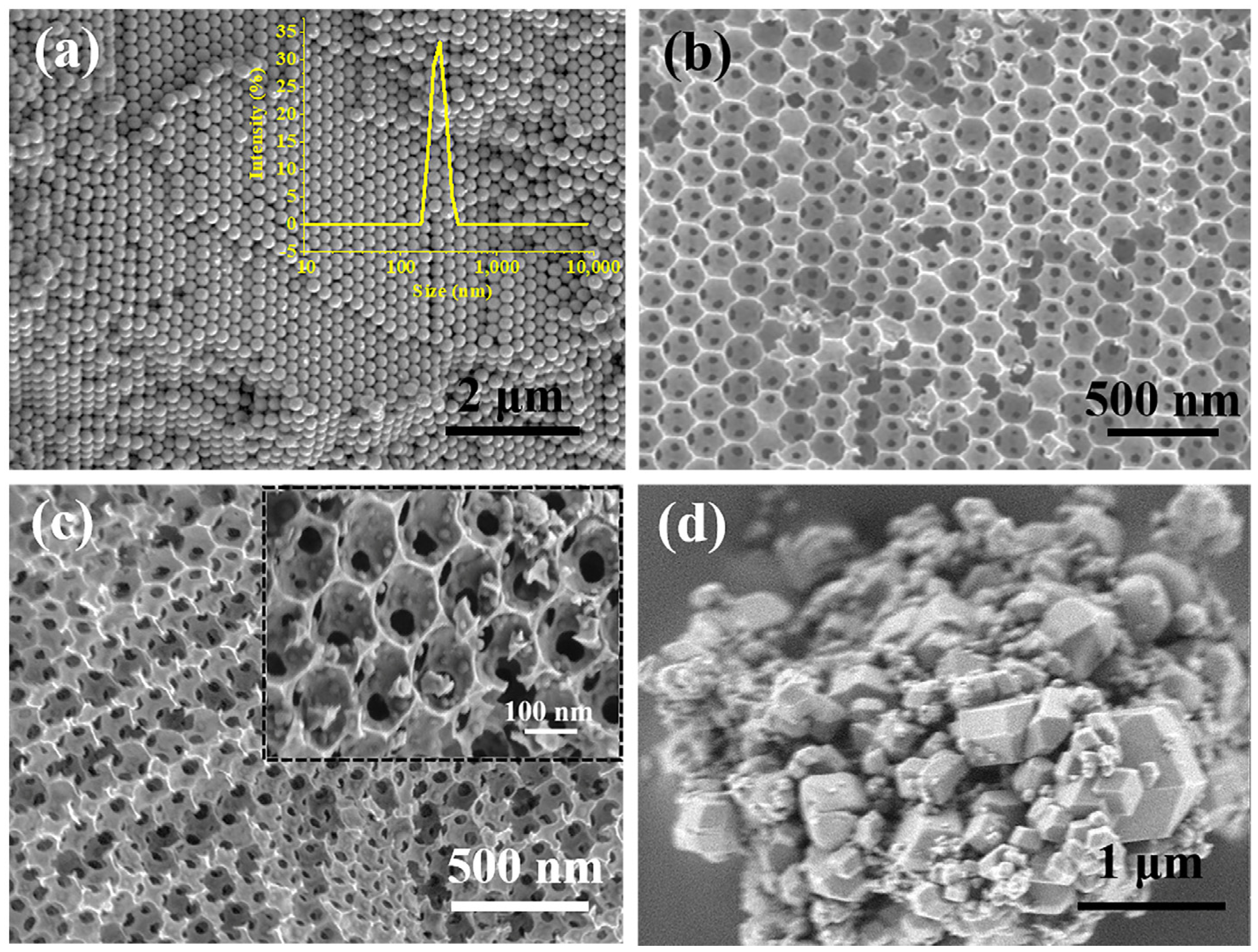 Catalysts 11 00533 g001