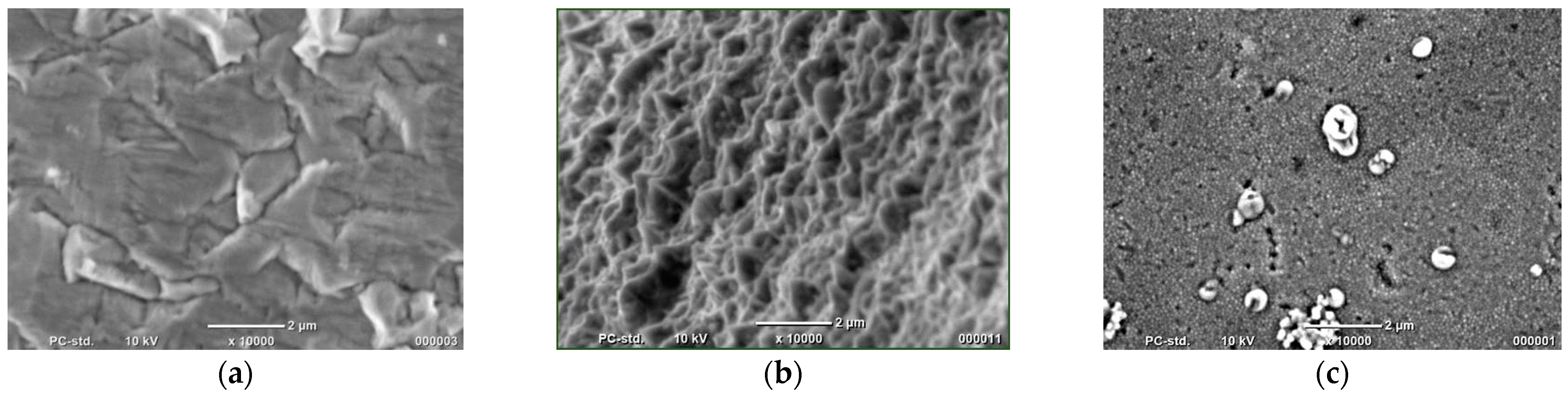 Catalysts 11 00544 g001