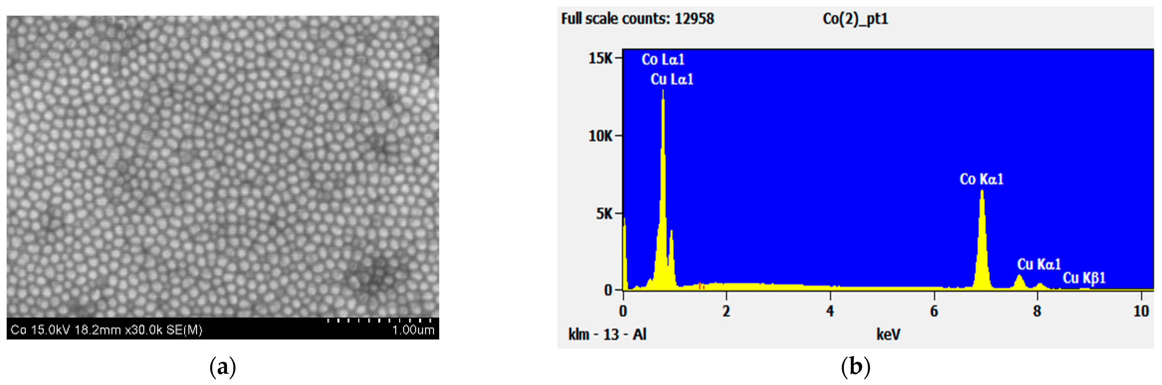 Catalysts 11 00544 g002