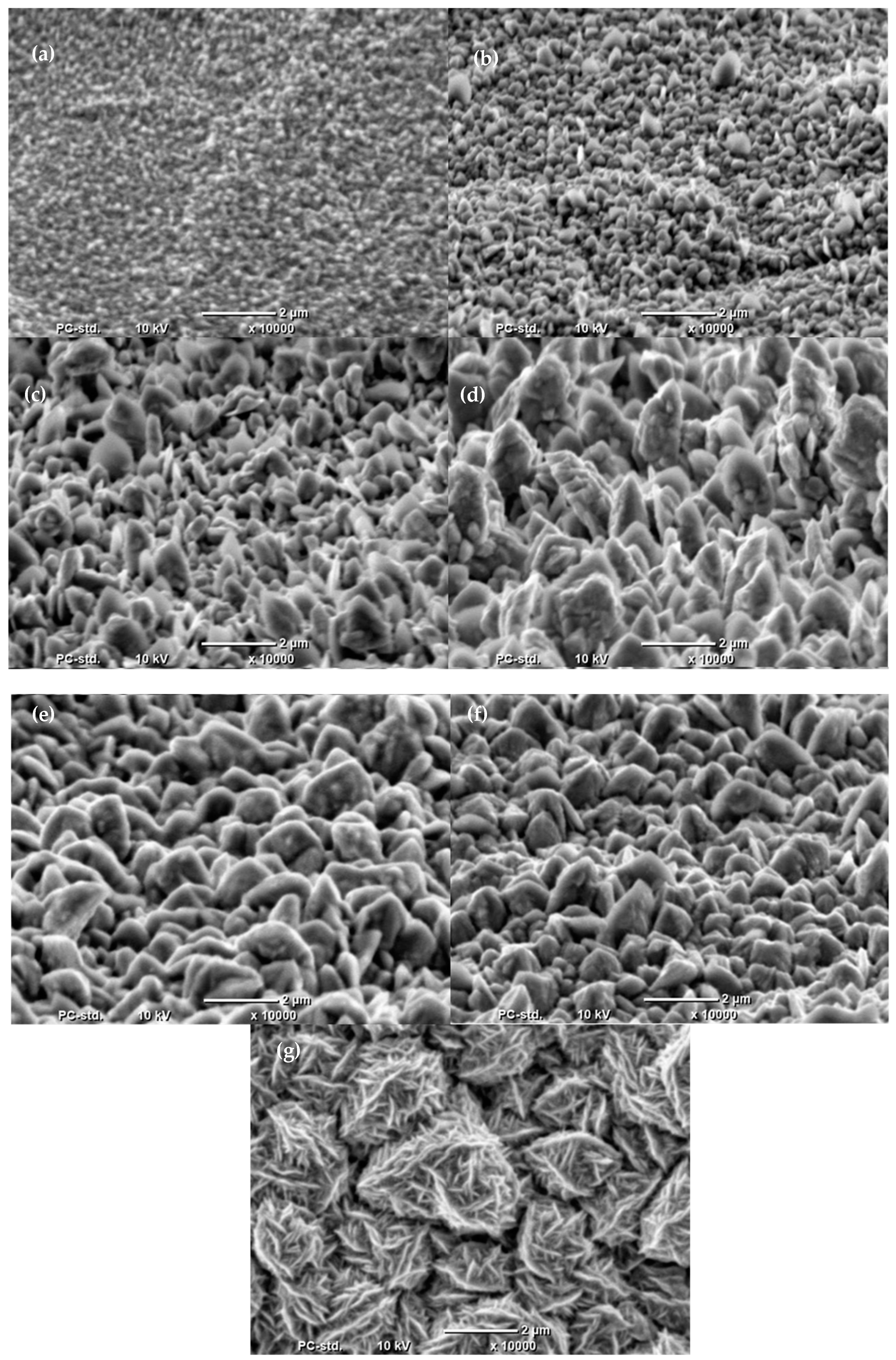 Catalysts 11 00544 g005