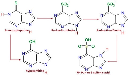 Catalysts Free Full Text Cytostatic Drug 6 Mercaptopurine Degradation On Pilot Scale Reactors By Advanced Oxidation Processes Uv C H2o2 And Uv C Tio2 H2o2 Kinetics Html