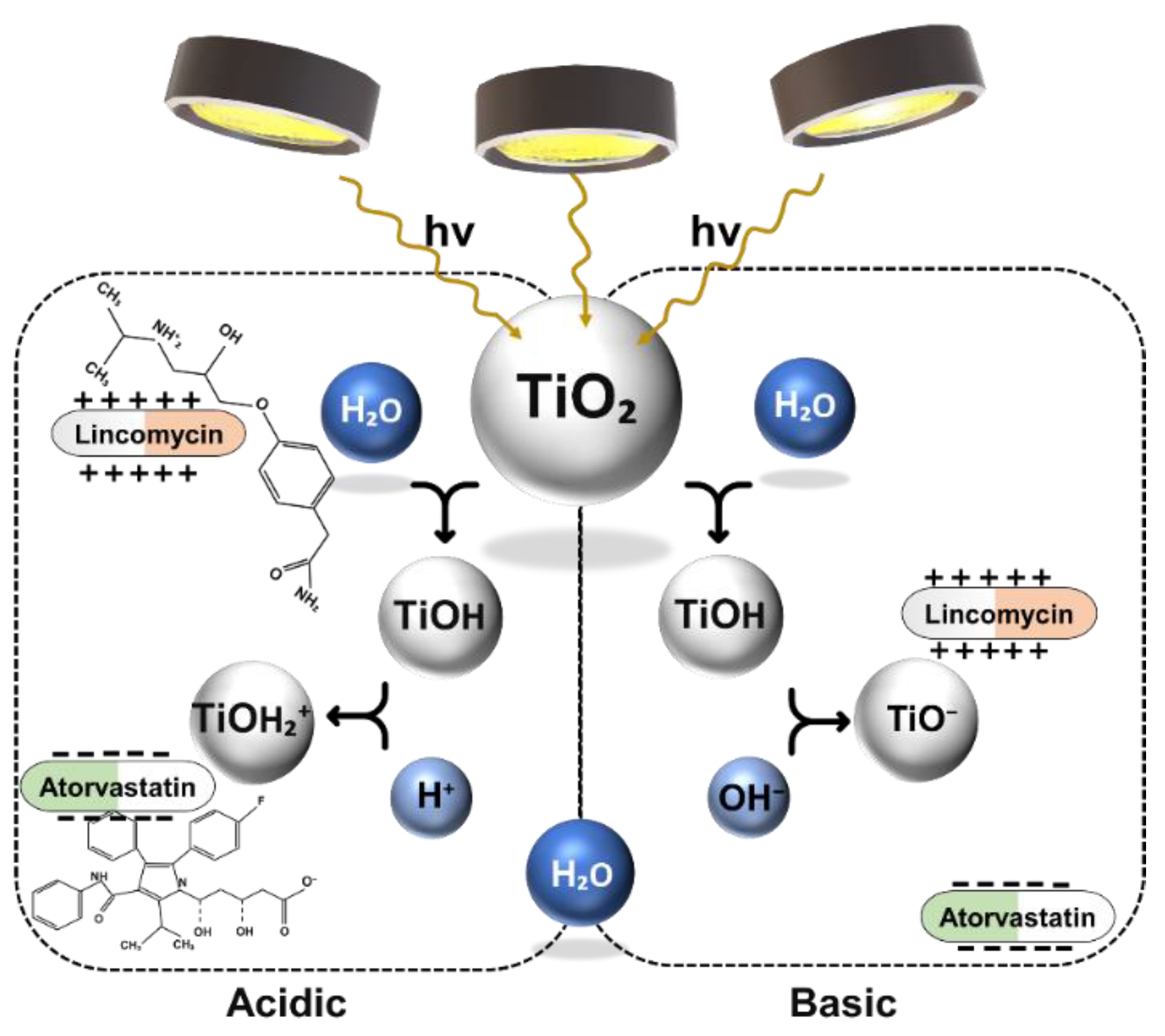 Catalysts 11 00576 g002 Catalysts 11 00576 g002