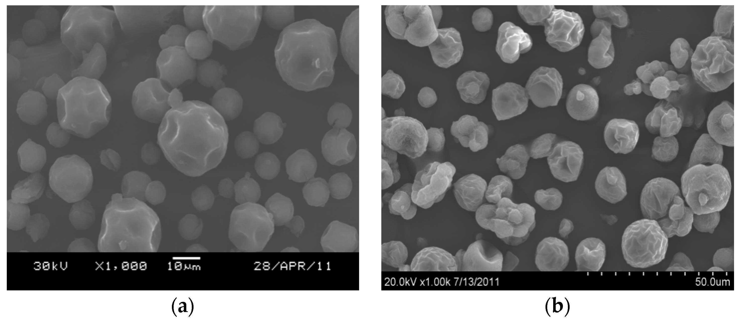 Catalysts 11 00601 g007