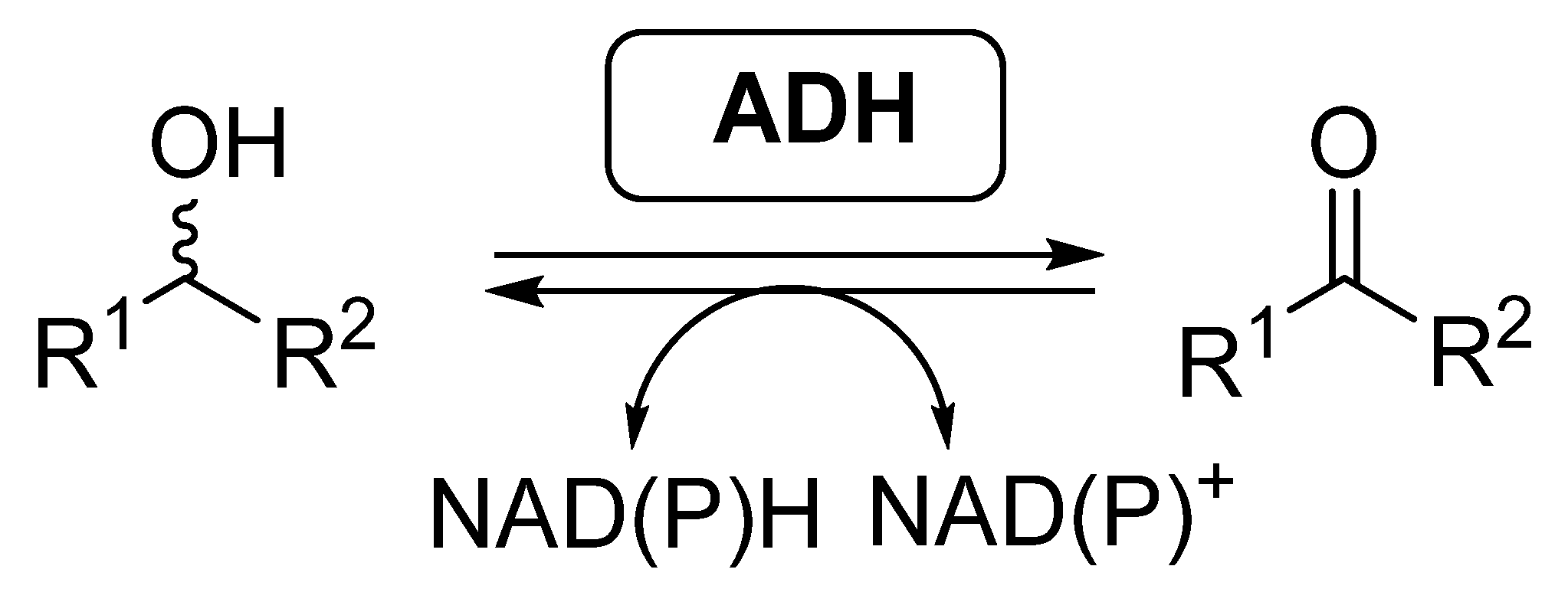 Catalysts 11 00605 sch002 Catalysts 11 00605 sch002