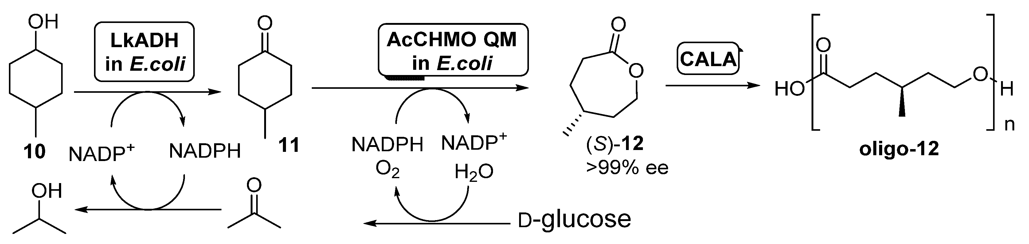 Catalysts 11 00605 sch005 Catalysts 11 00605 sch005