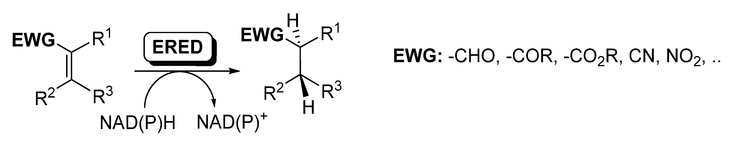 Catalysts 11 00605 sch008 Catalysts 11 00605 sch008