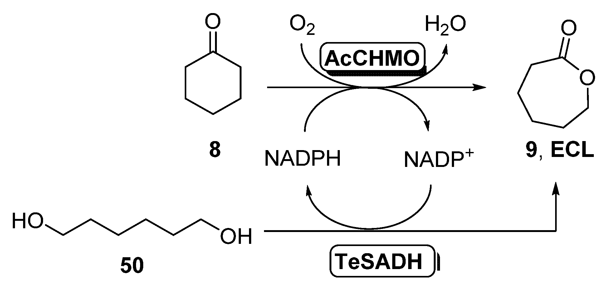 Catalysts 11 00605 sch019 Catalysts 11 00605 sch019