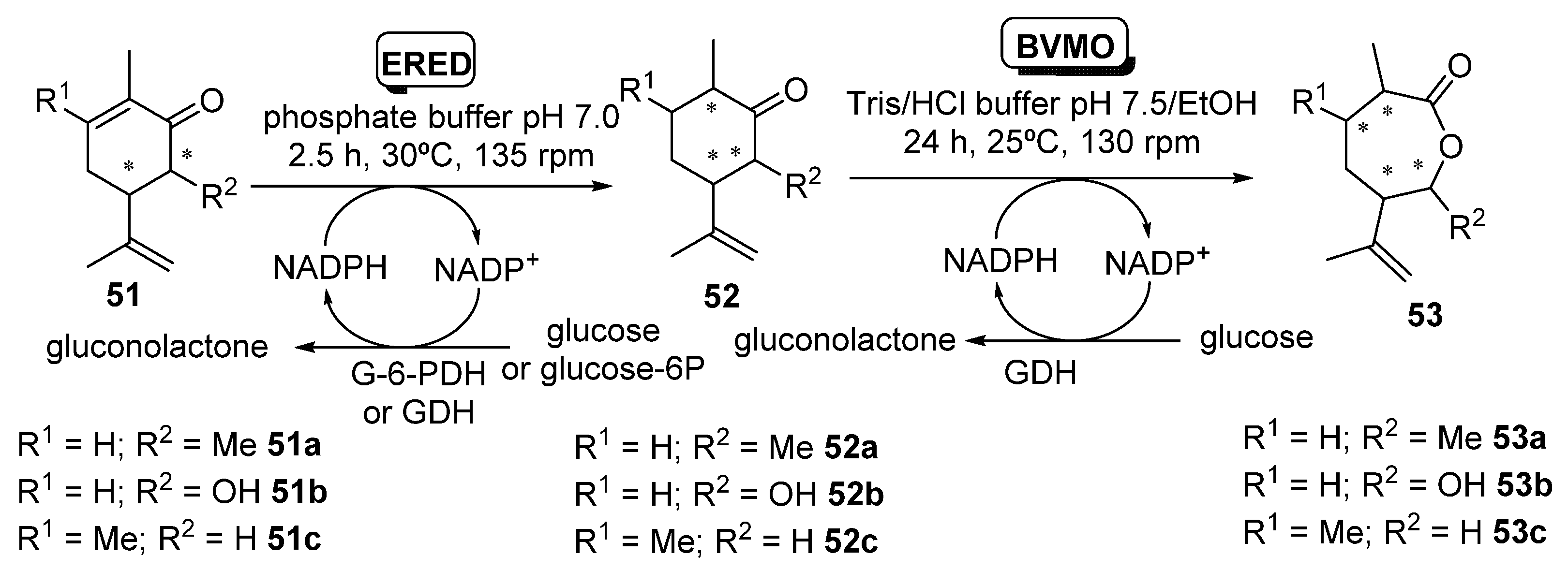 Catalysts 11 00605 sch020 Catalysts 11 00605 sch020