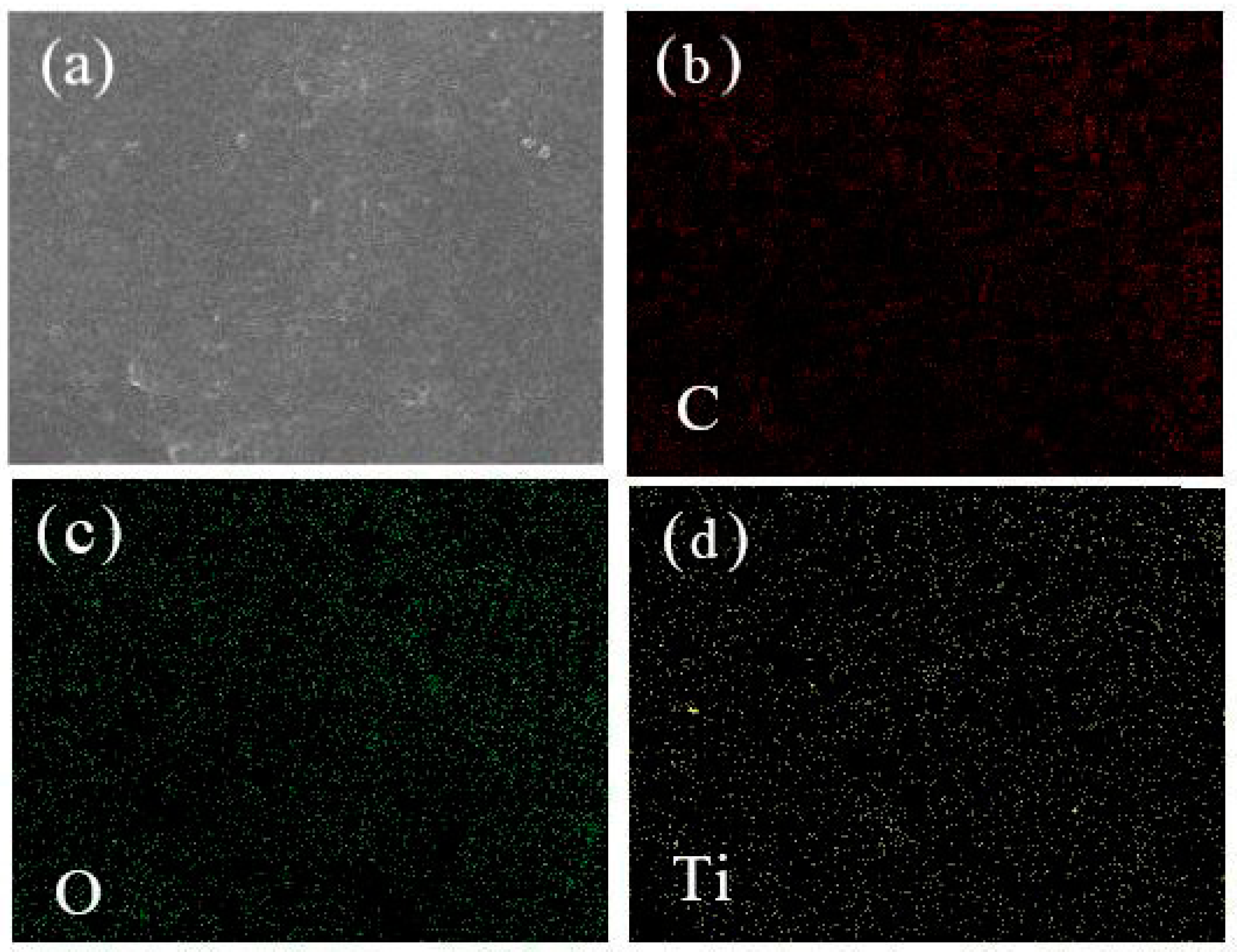 Catalysts 11 00613 g002 Catalysts 11 00613 g002
