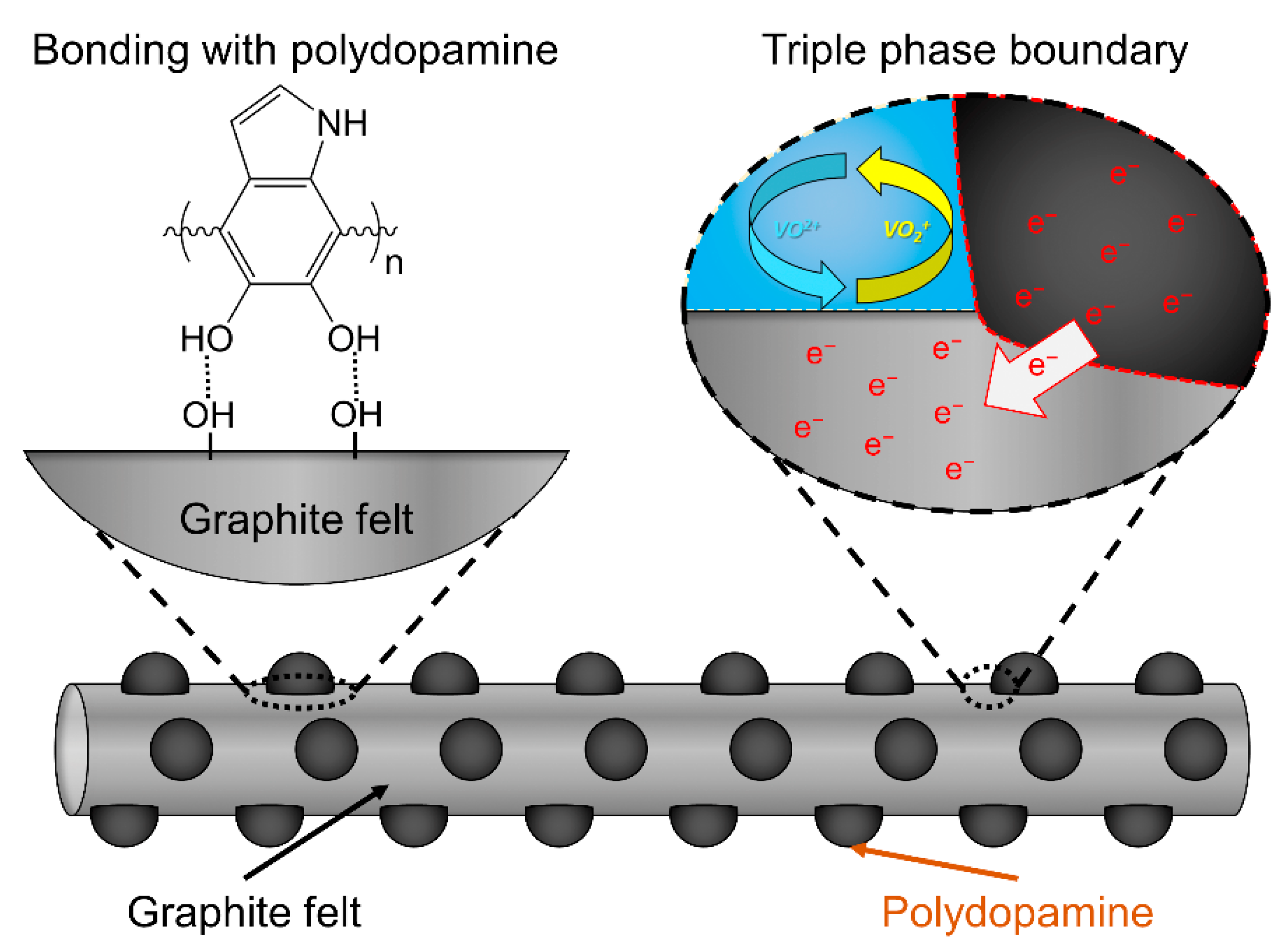 Catalysts 11 00627 g010