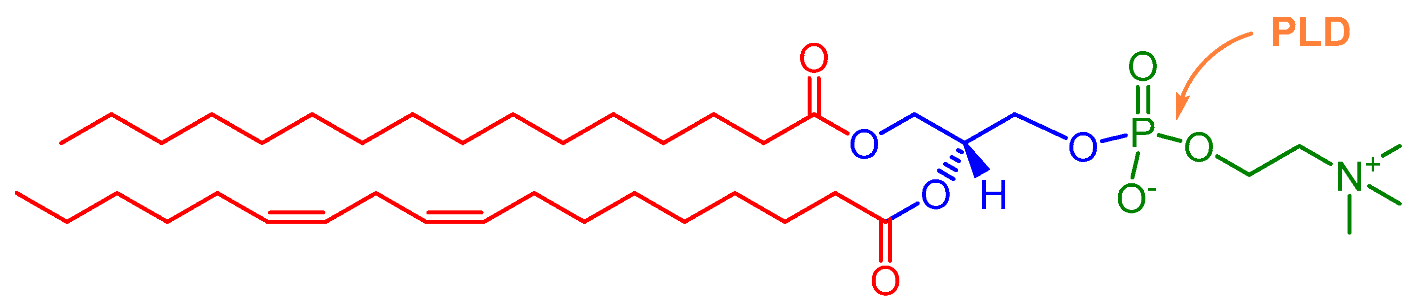 Catalysts 11 00655 g001 Catalysts 11 00655 g001