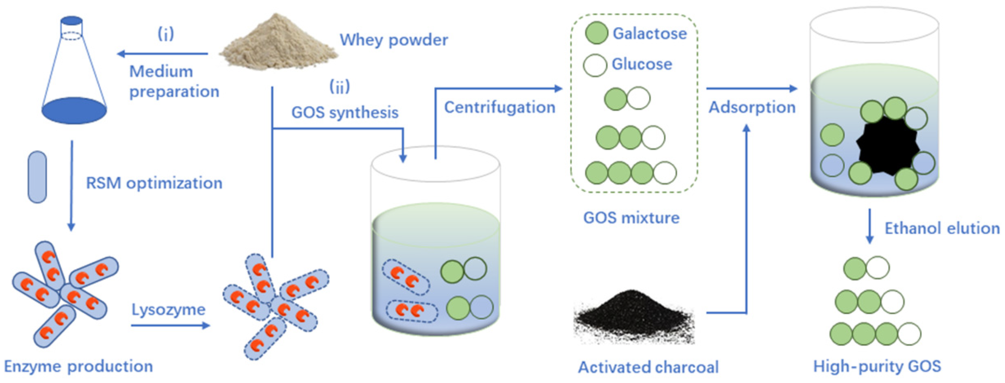 Catalysts | Free Full-Text | Integrated Utilization of Dairy Whey in  Probiotic β-Galactosidase Production and Enzymatic Synthesis of  Galacto-Oligosaccharides