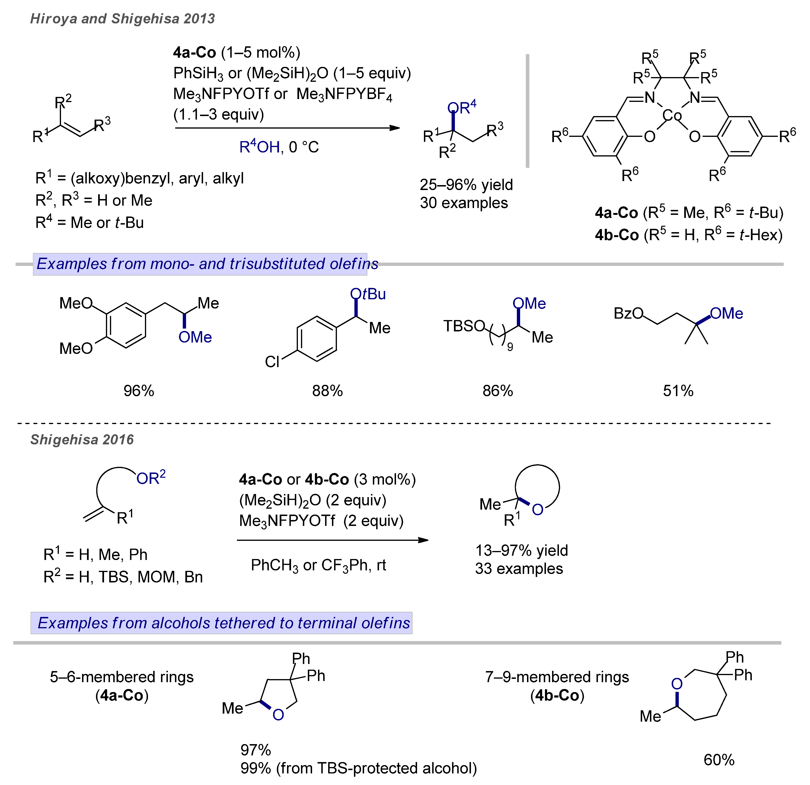 Catalysts Free Full Text Earth Abundant 3d Transition Metal Catalysts For Hydroalkoxylation And Hydroamination Of Unactivated Alkenes Html