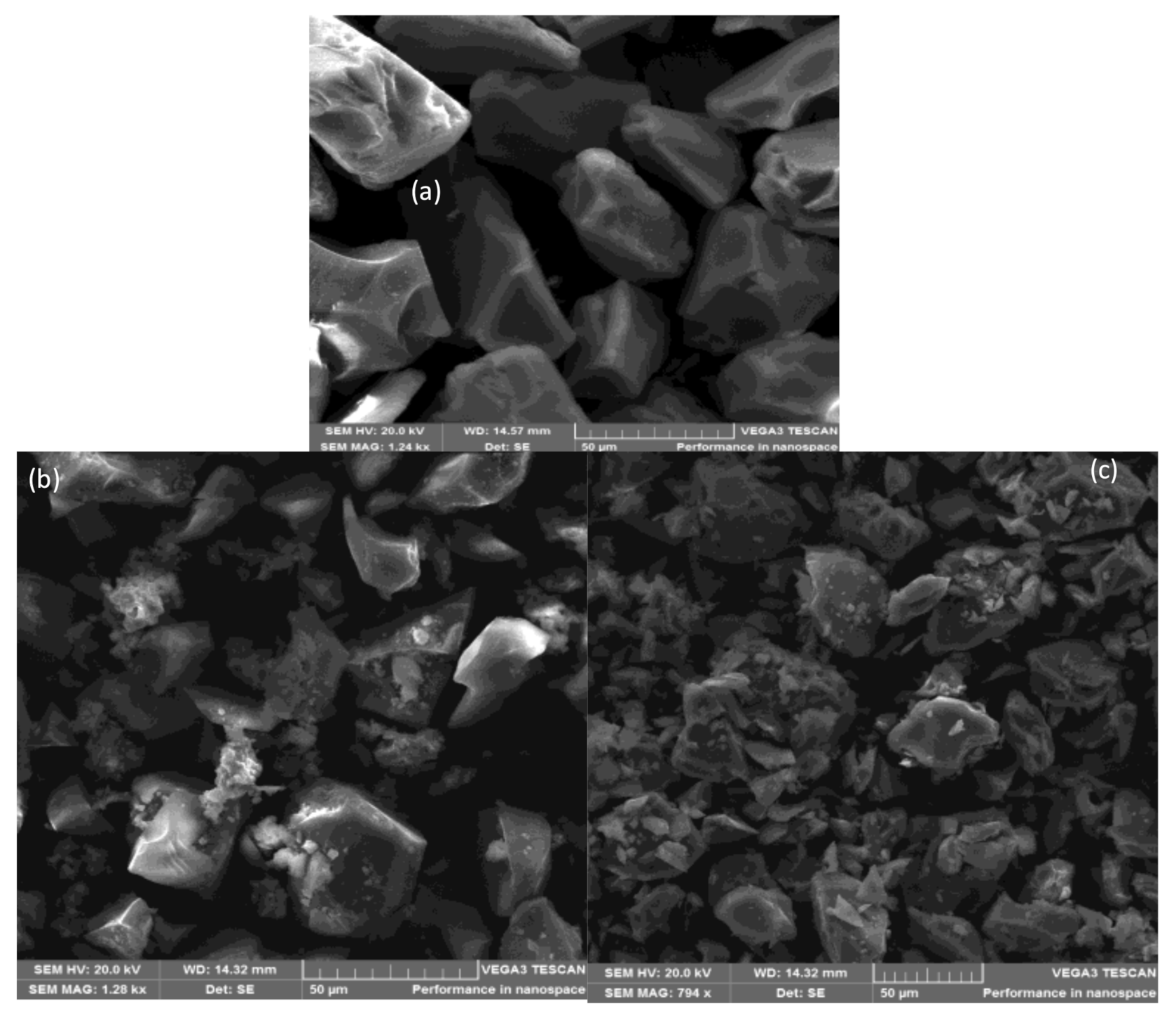 Catalysts 11 00684 g007 Catalysts 11 00684 g007