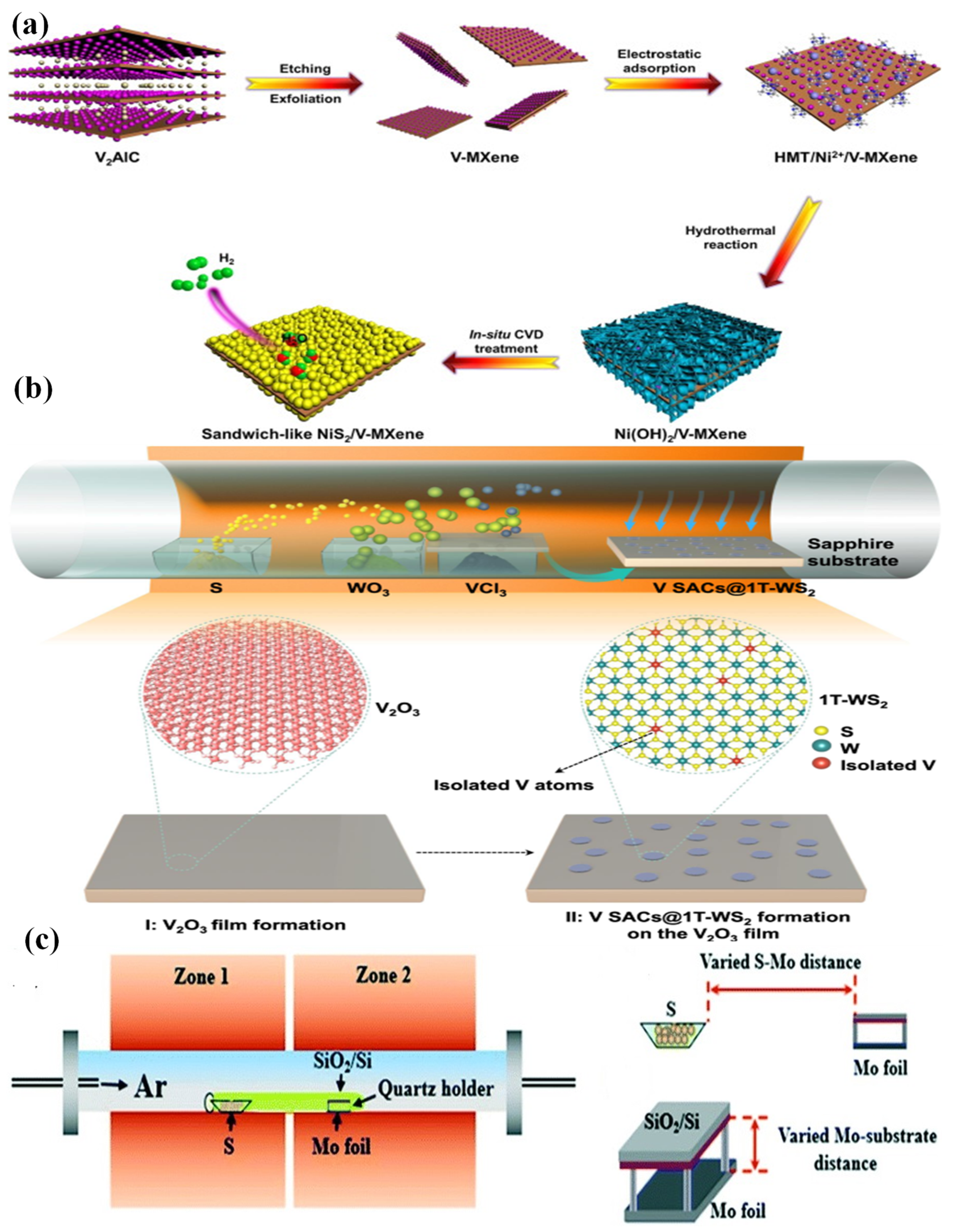 Experimental and theoretical insights to demonstrate the hydrogen evolution  activity of layered platinum dichalcogenides electrocatalysts -  ScienceDirect