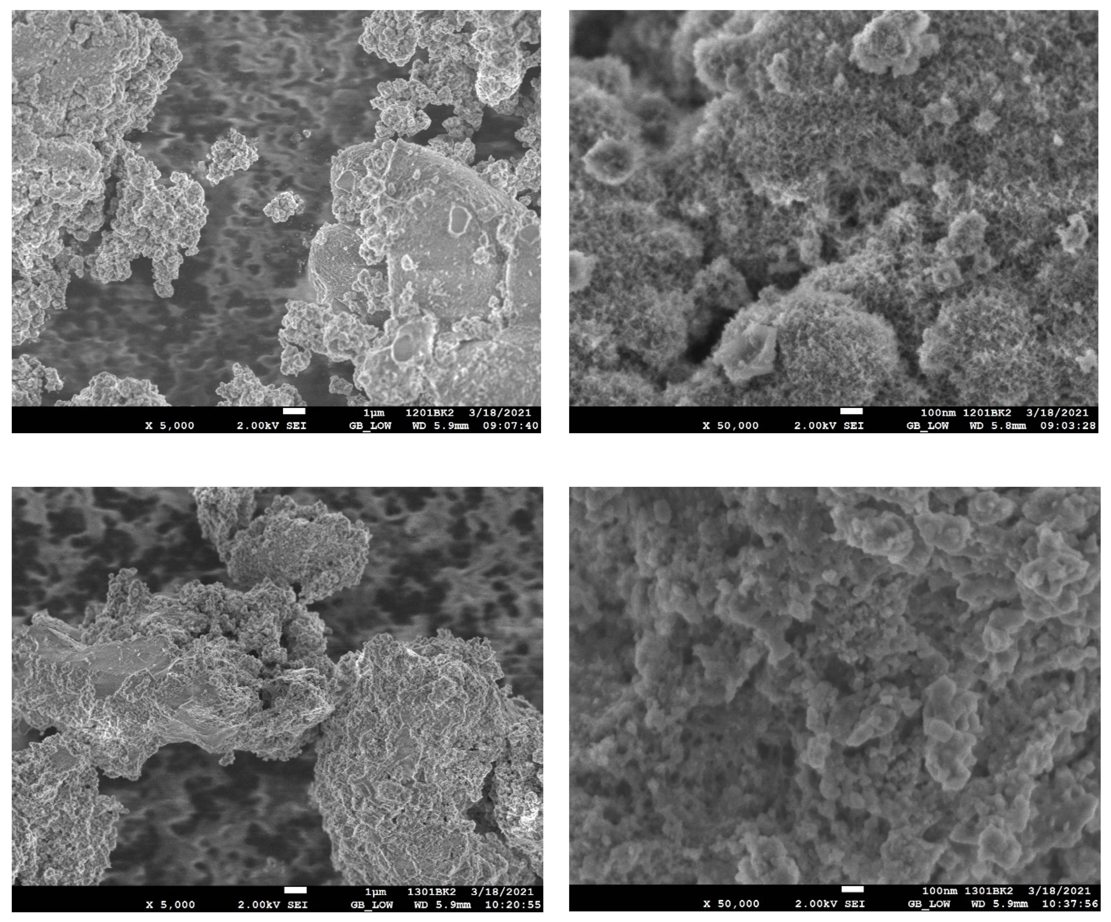 Catalysts 11 00699 g014