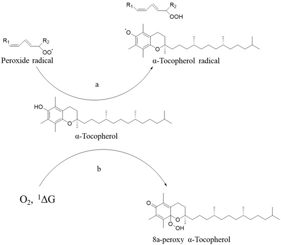 α-Tocopheryl acetate