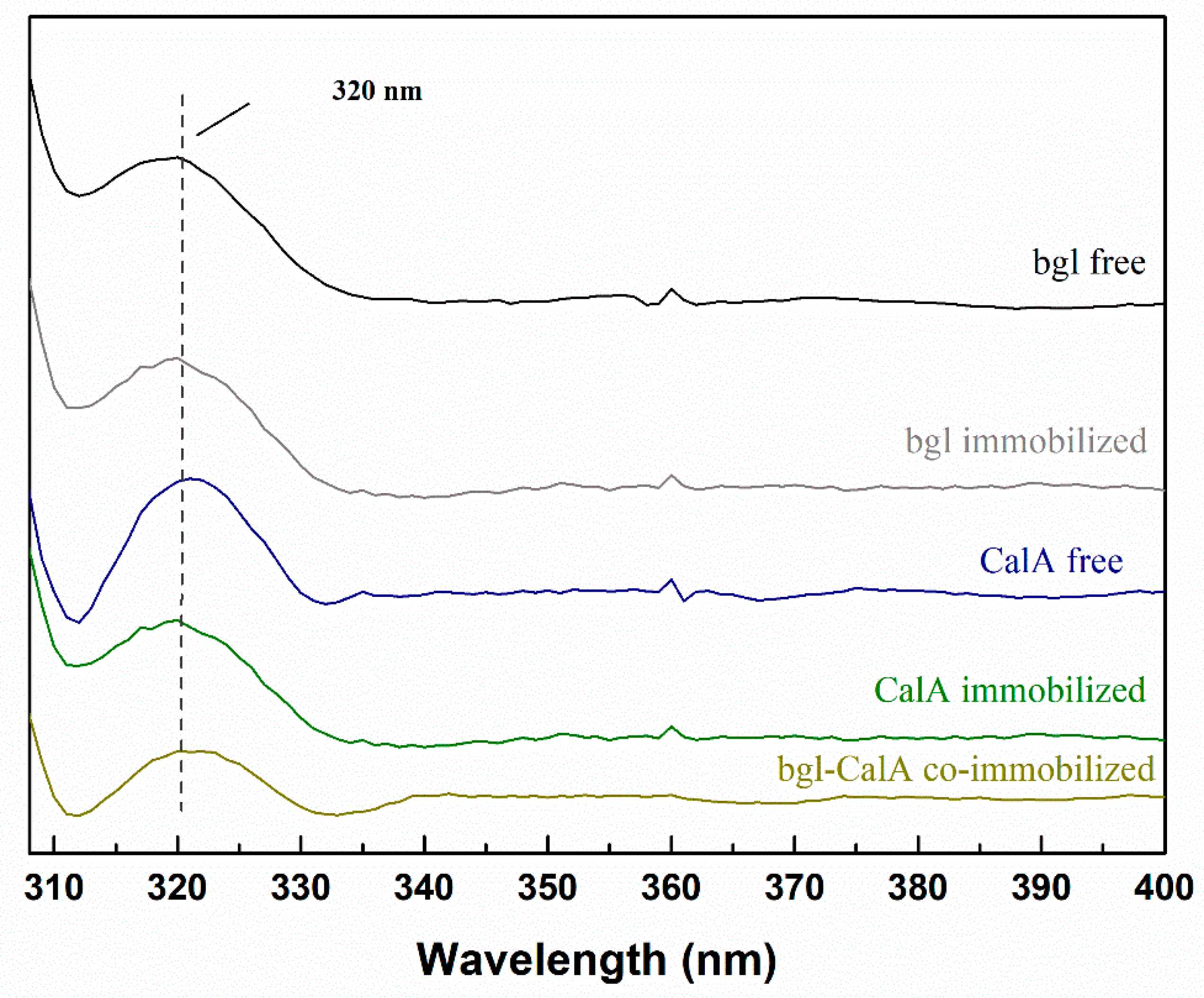 Catalysts Free Full Text Development Of A Novel Bi Enzymatic Nanobiocatalyst For The Efficient Bioconversion Of Oleuropein To Hydroxytyrosol Html