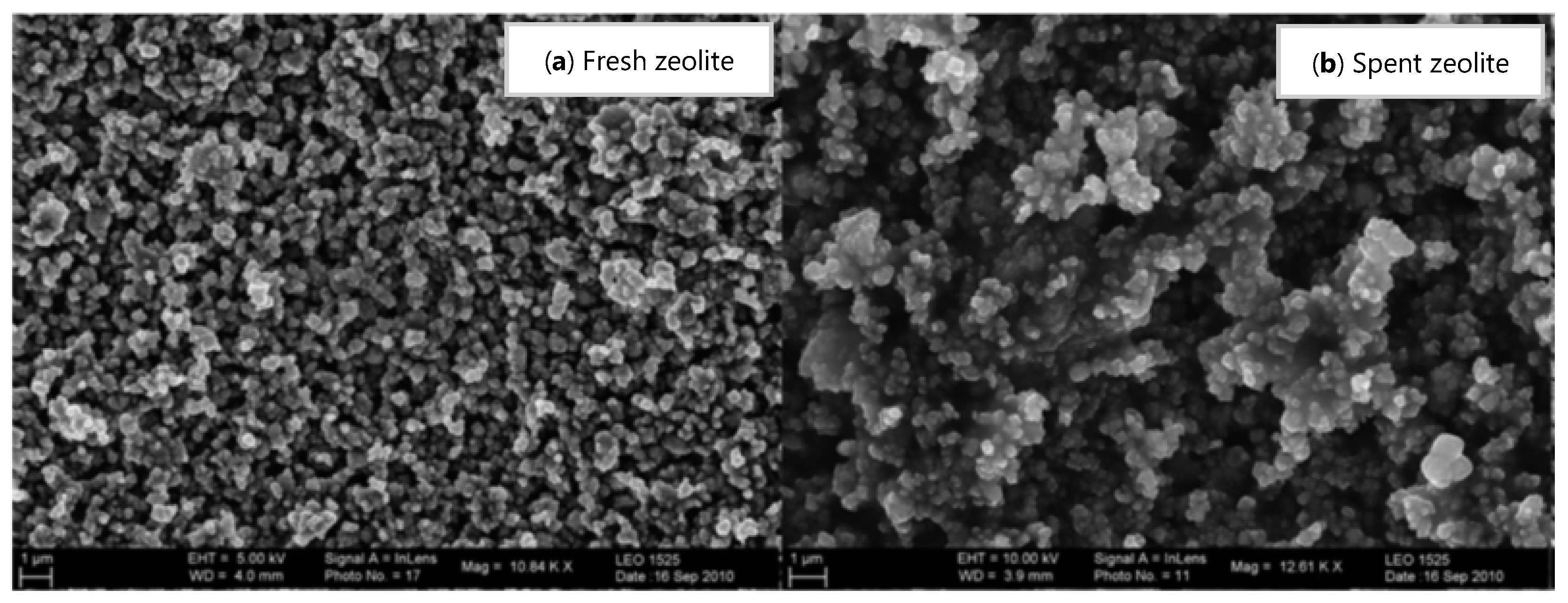 Catalysts 11 00770 g018