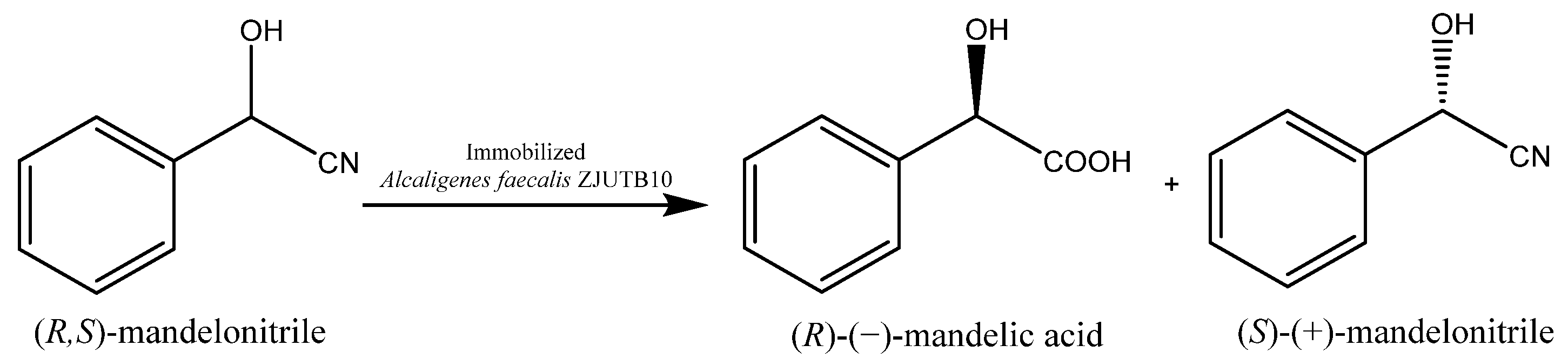 Catalysts 11 00781 sch002 Catalysts 11 00781 sch002