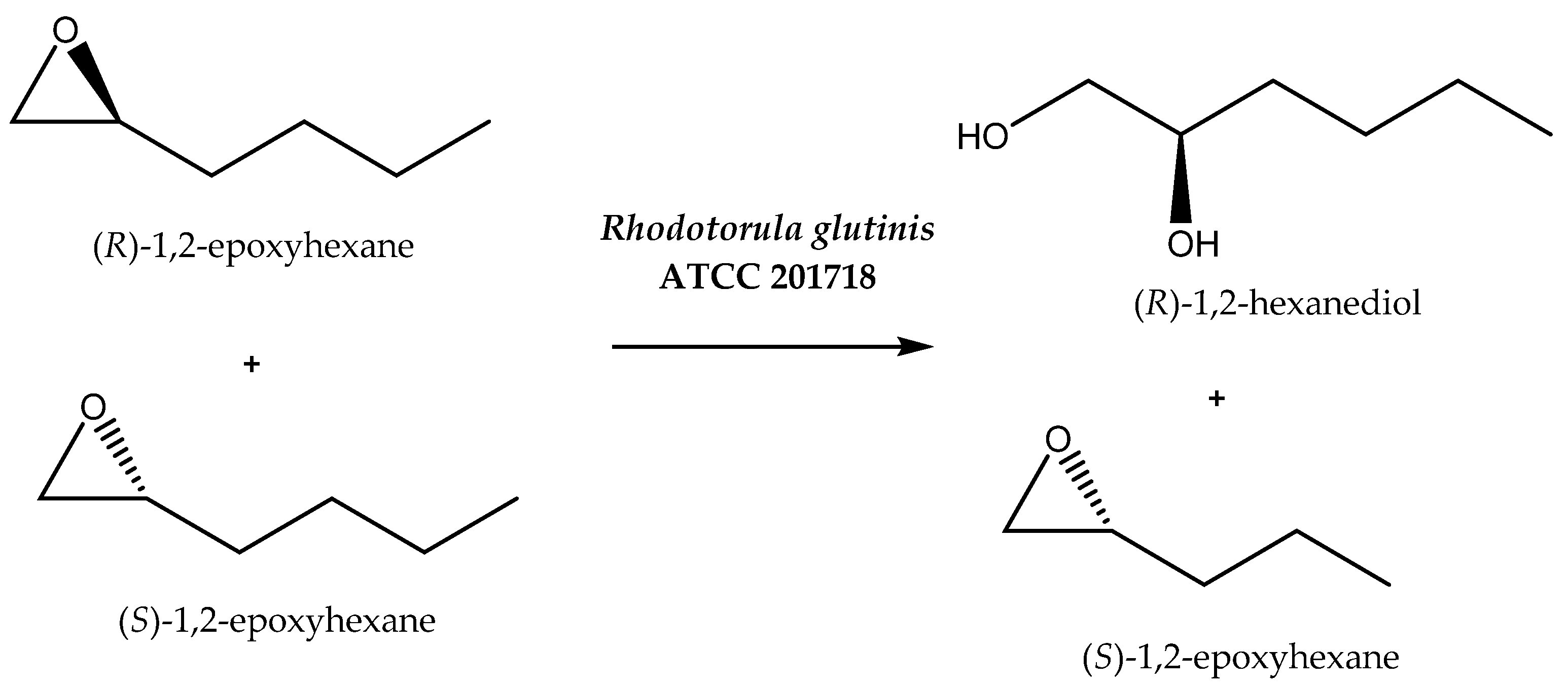 Catalysts 11 00781 sch005 Catalysts 11 00781 sch005