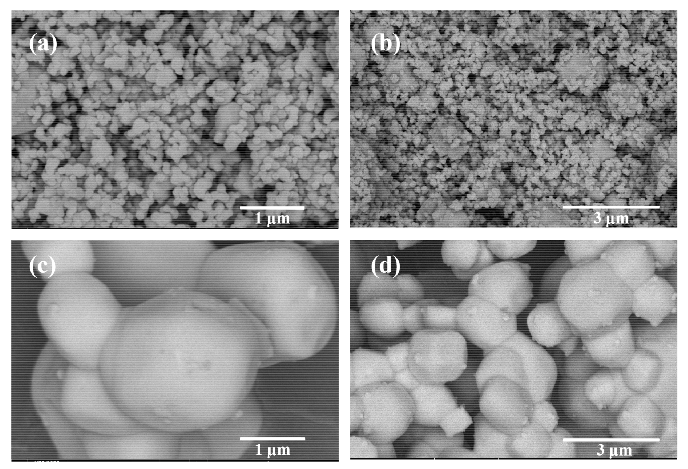 Catalysts 11 00788 g002