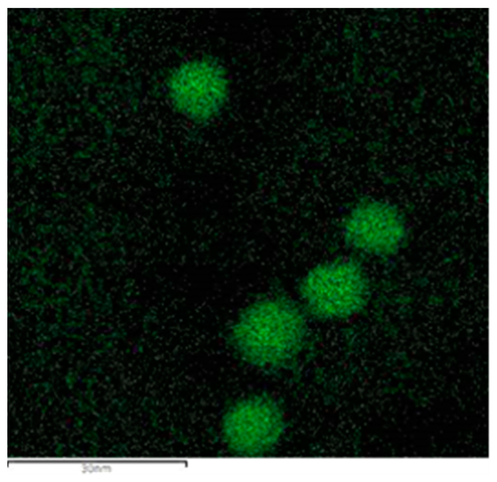 Catalysts 11 00789 g005 Catalysts 11 00789 g005